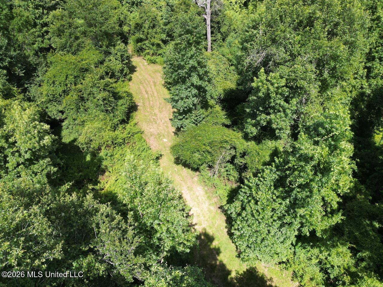 Pam Road Property Photo 8
