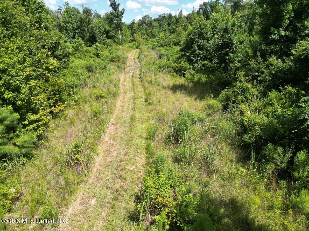 Pam Road Property Photo 9