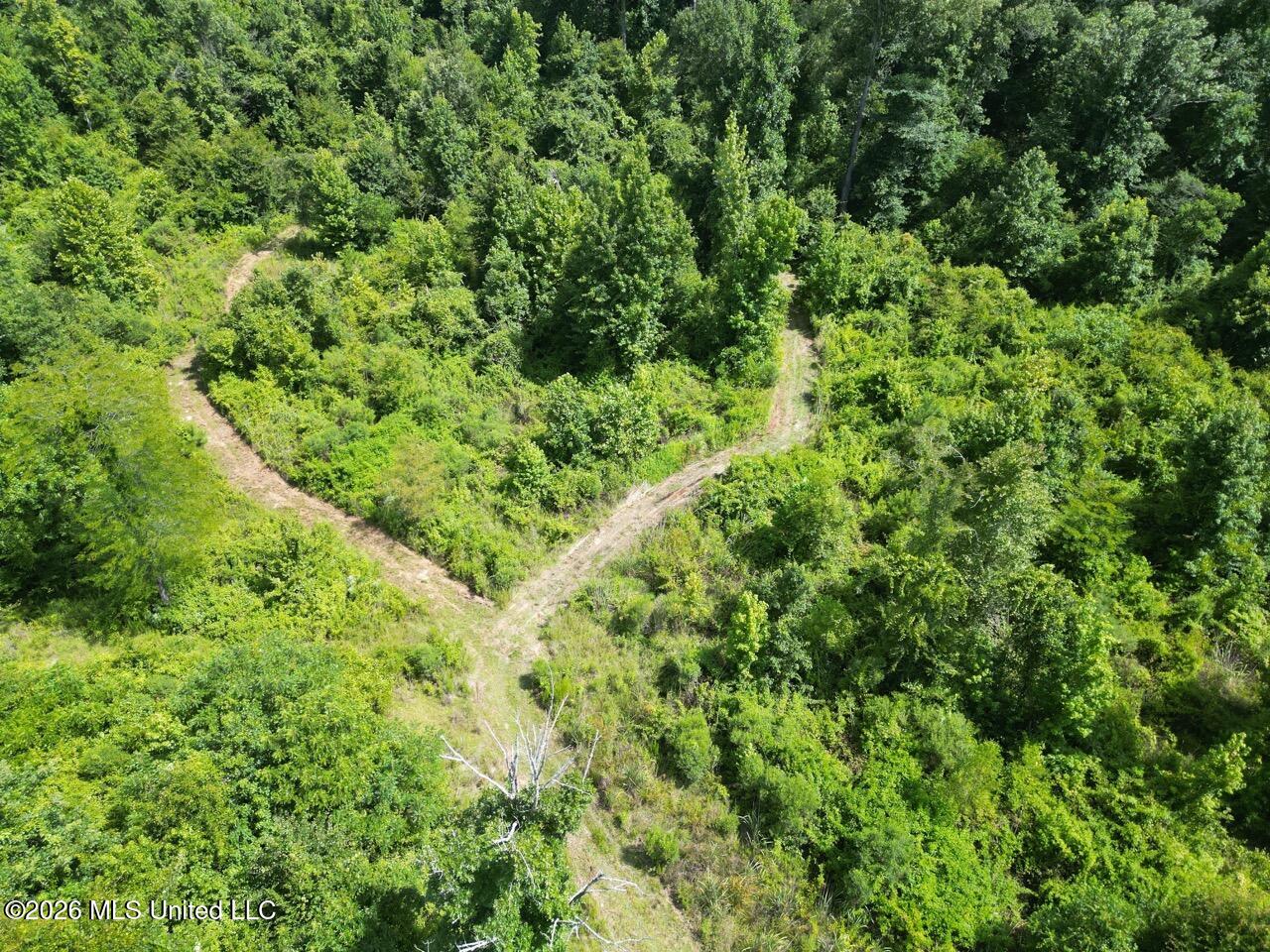 Pam Road Property Photo 10