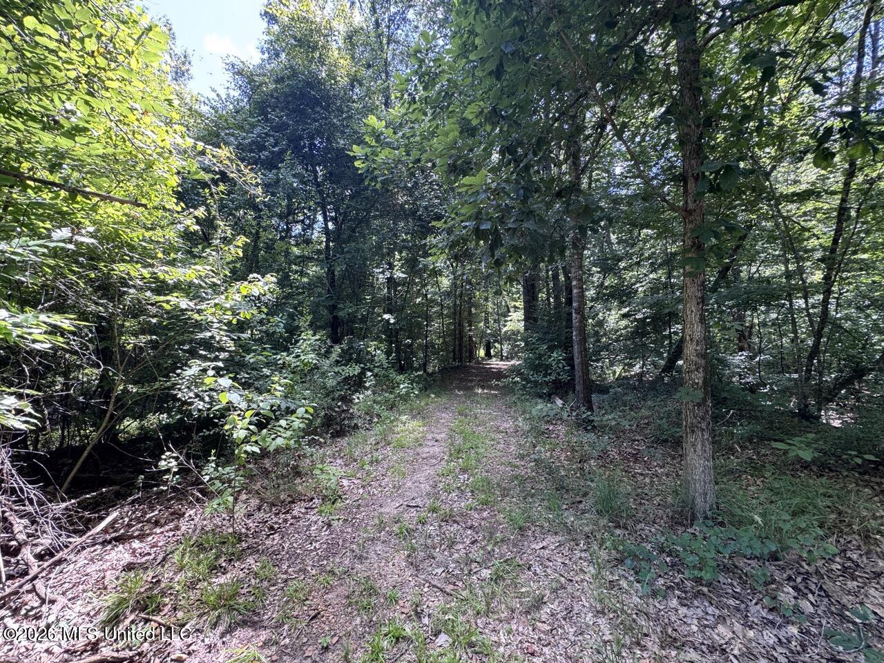 Pam Road Property Photo 16