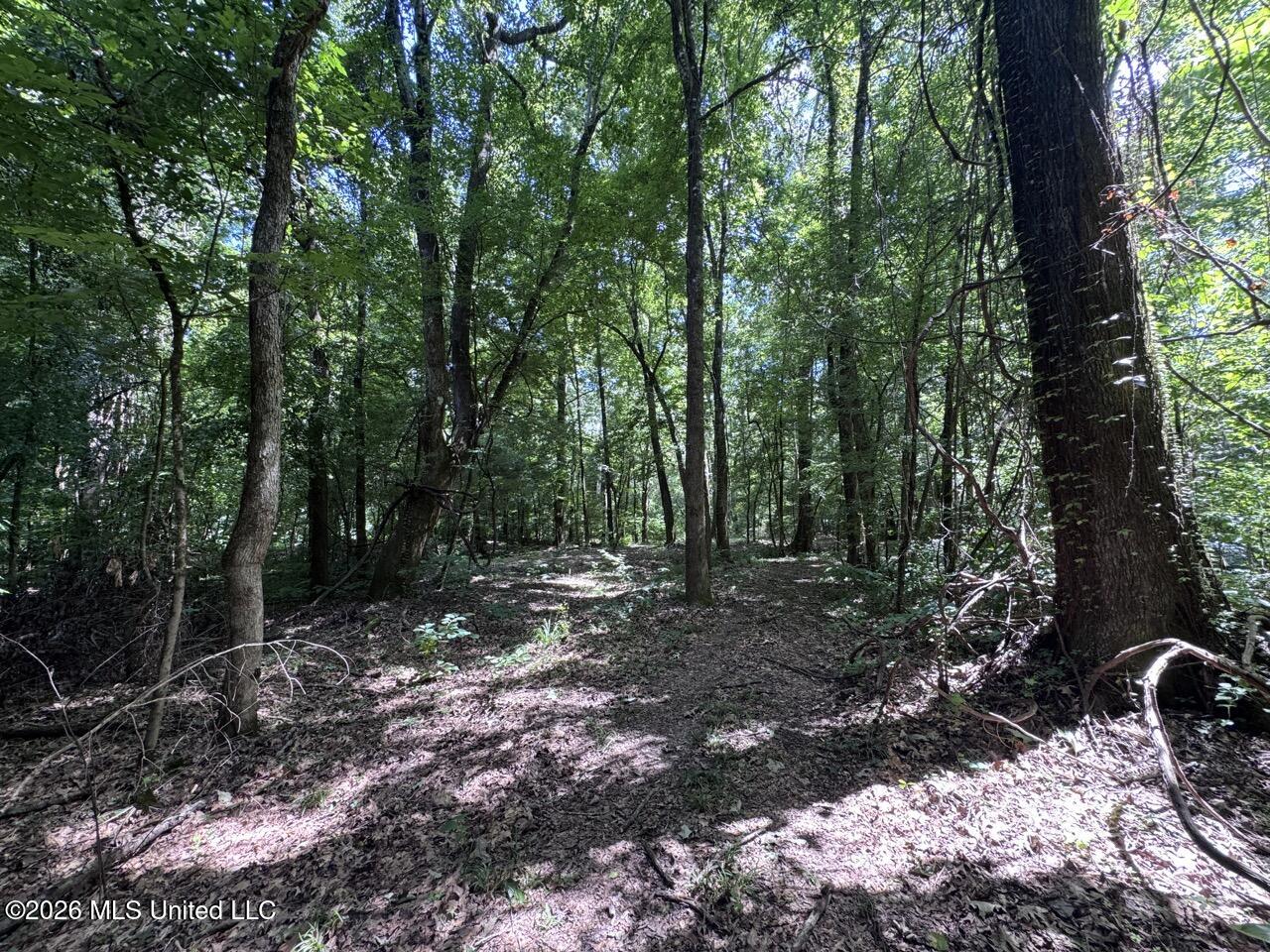 Pam Road Property Photo 18