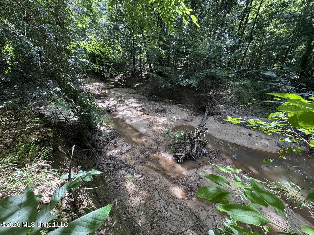 Pam Road Property Photo 19