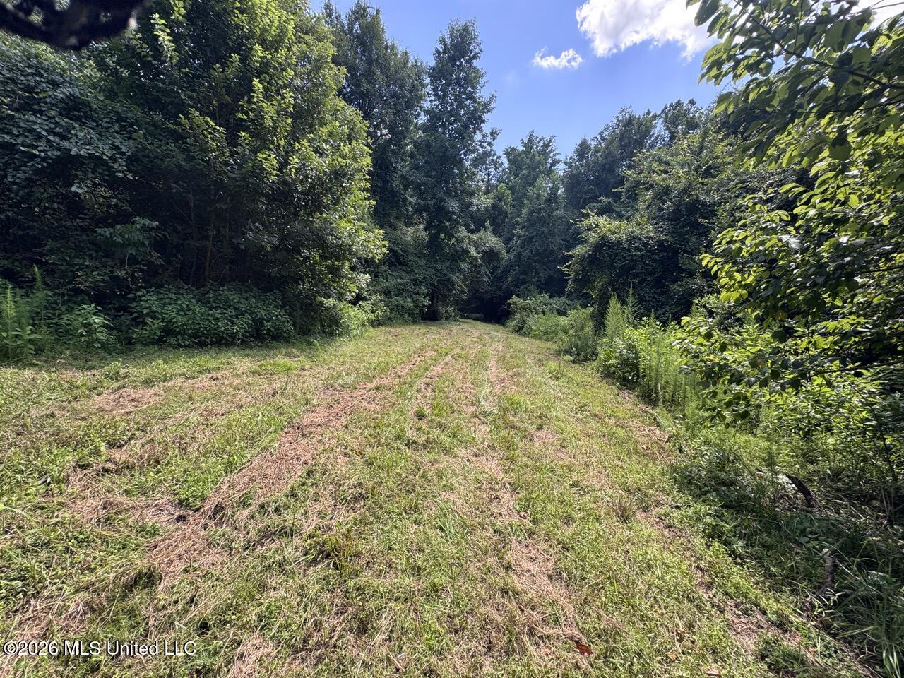 Pam Road Property Photo 20