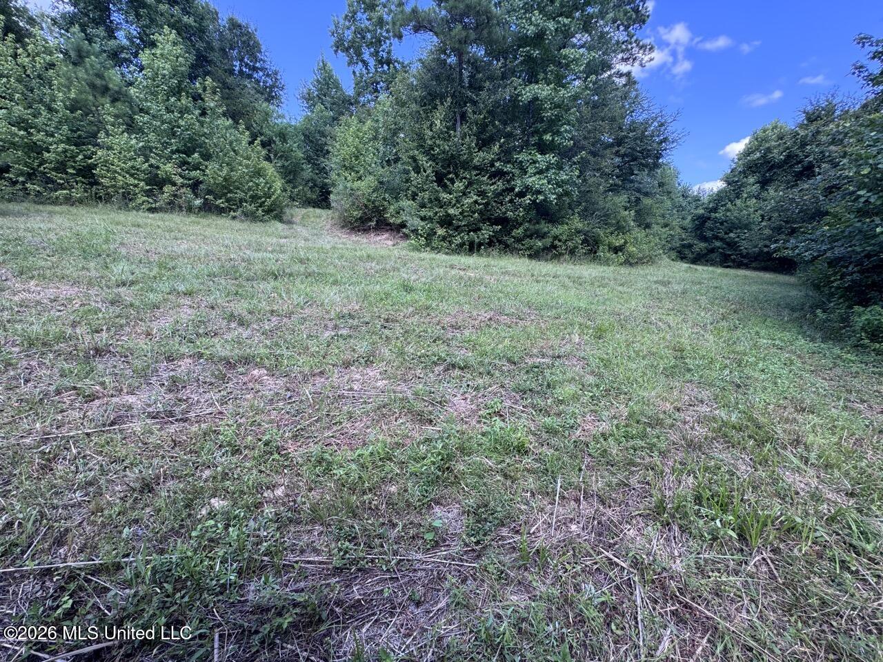 Pam Road Property Photo 21
