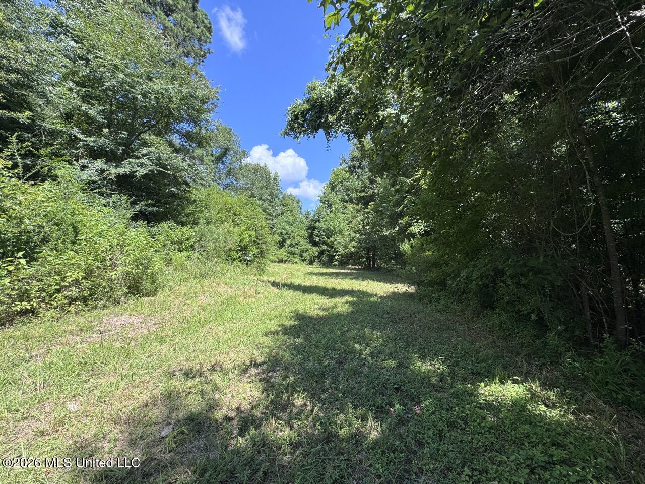 Pam Road Property Photo 22