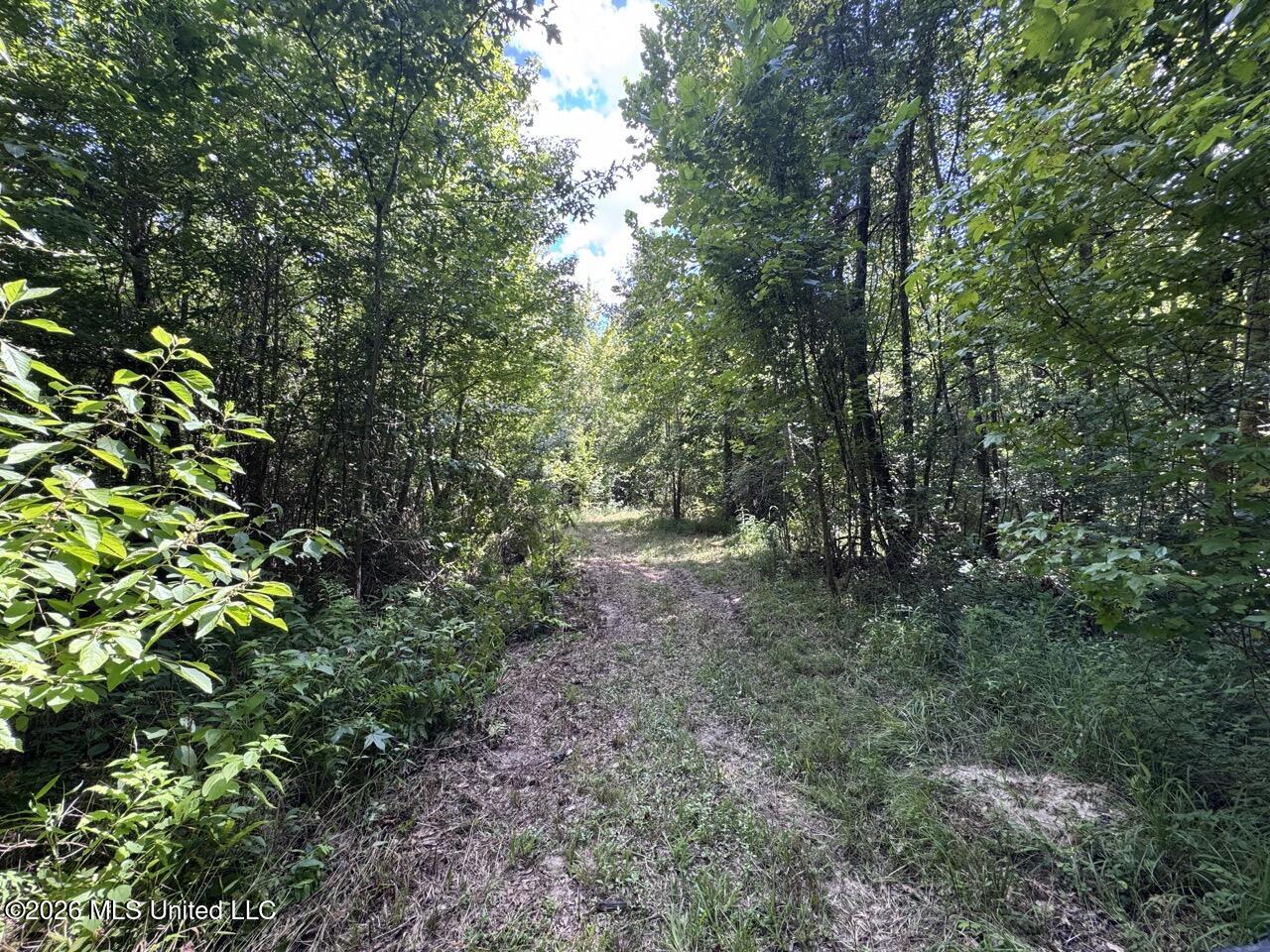 Pam Road Property Photo 23