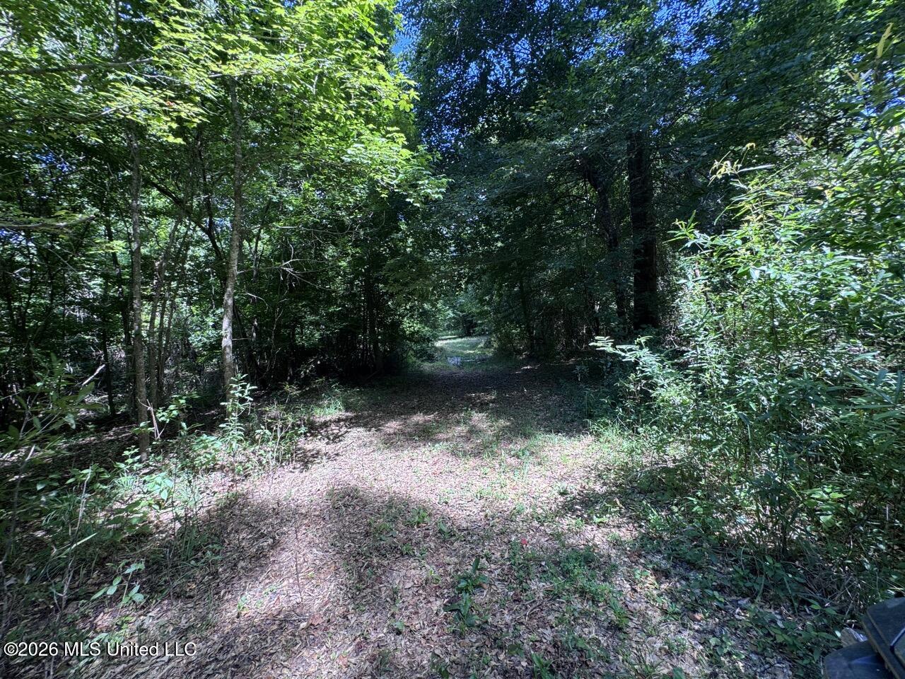 Pam Road Property Photo 24