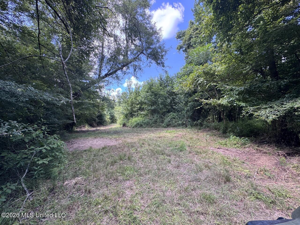 Pam Road Property Photo 25