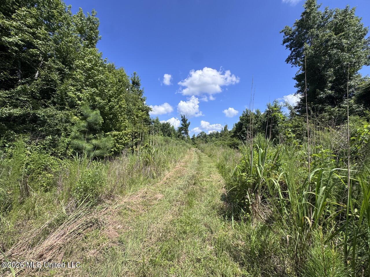 Pam Road Property Photo 26