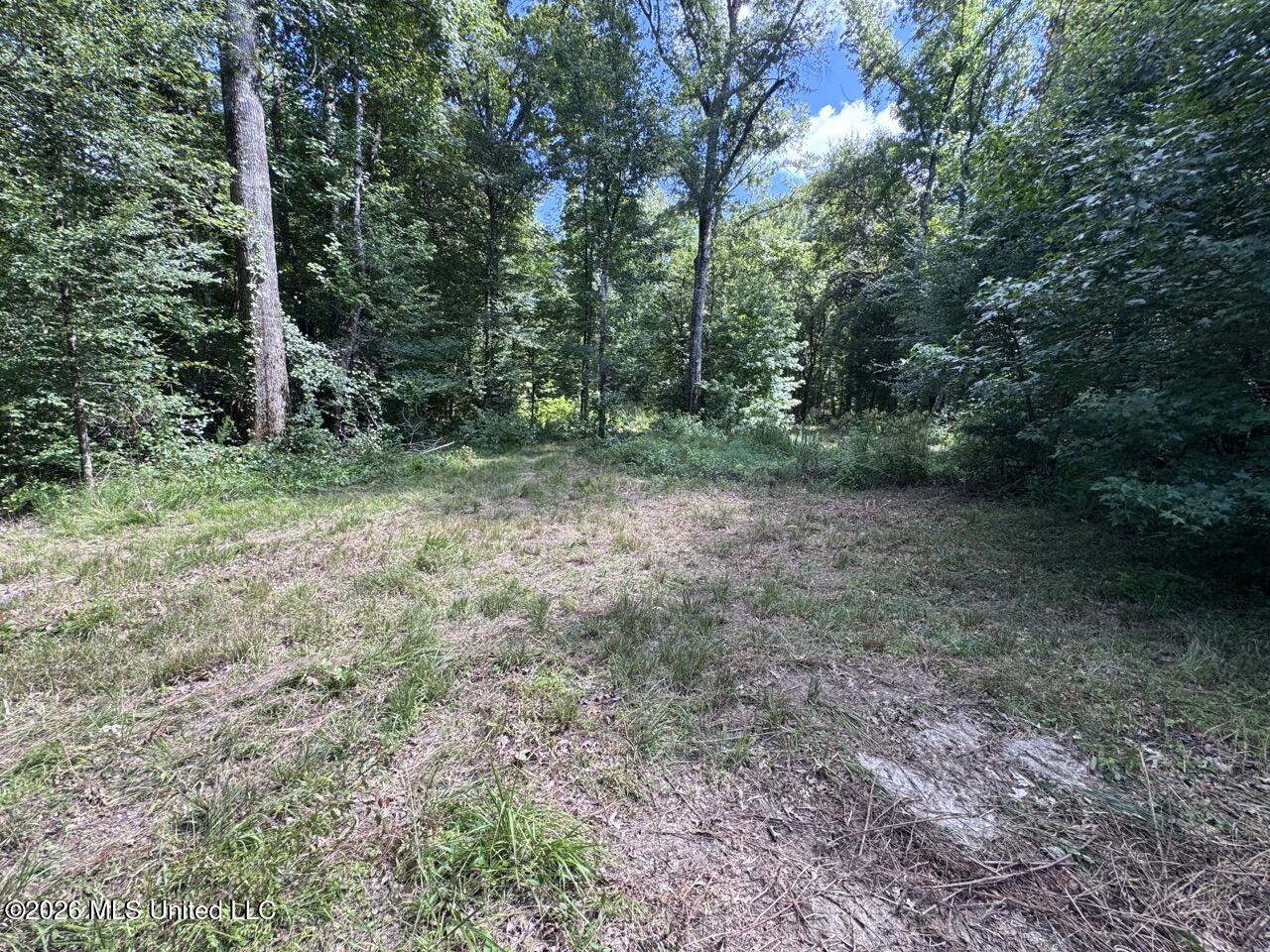 Pam Road Property Photo 27