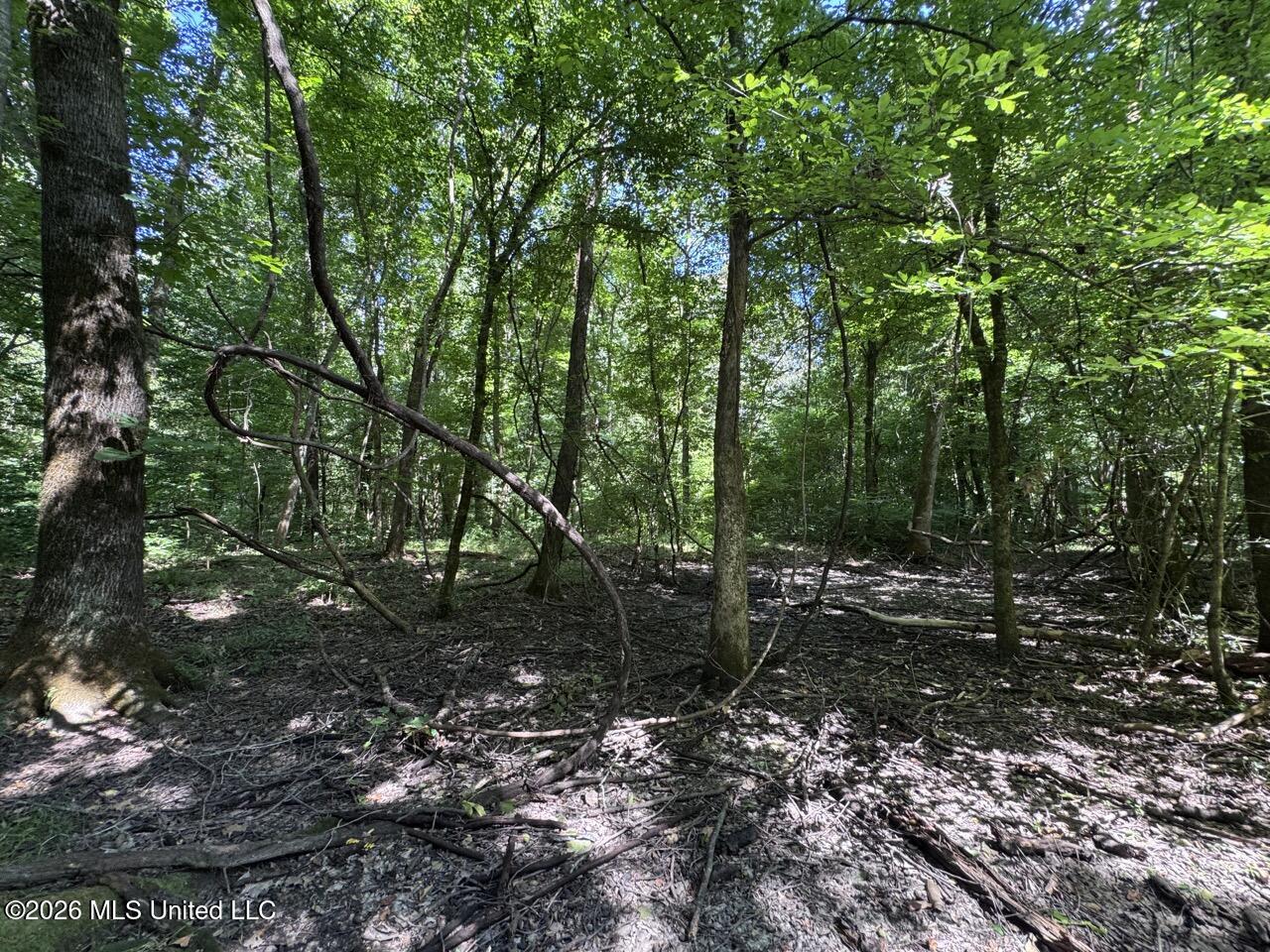Pam Road Property Photo 29