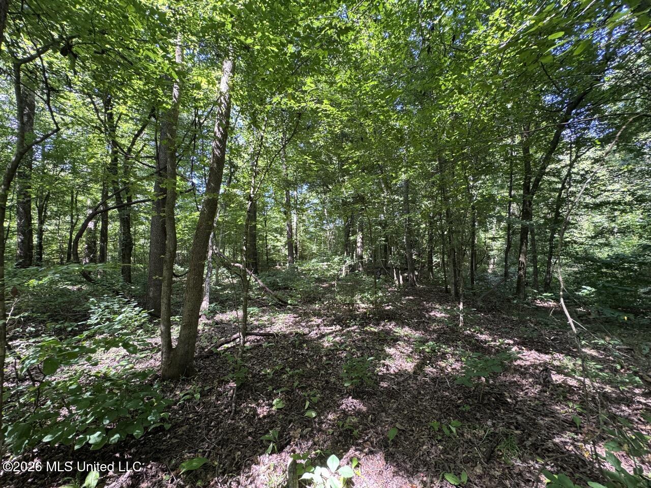 Pam Road Property Photo 30