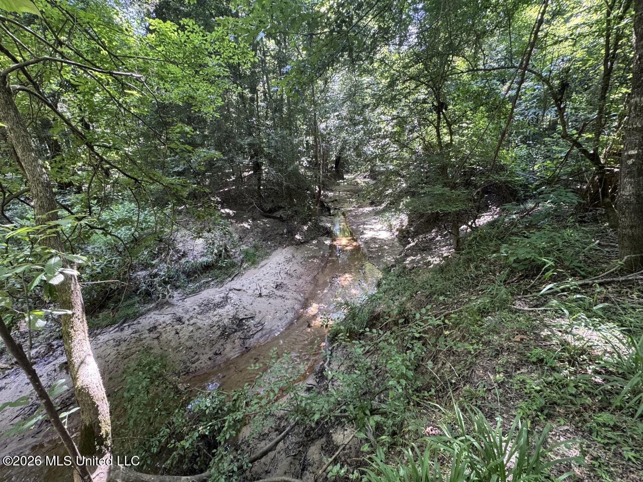 Pam Road Property Photo 31
