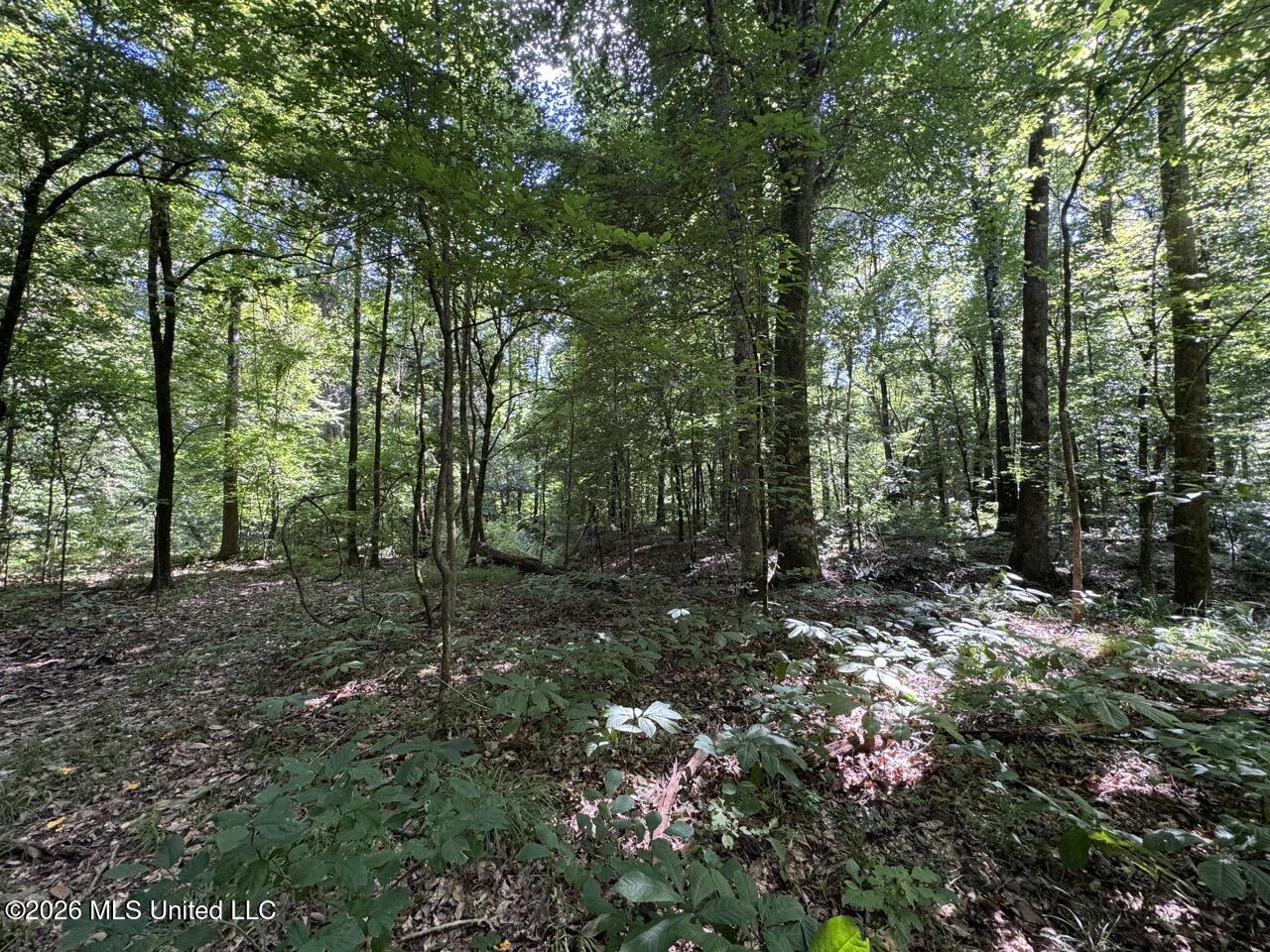 Pam Road Property Photo 32
