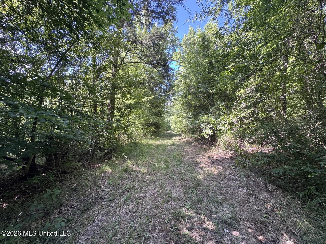 Pam Road Property Photo 33