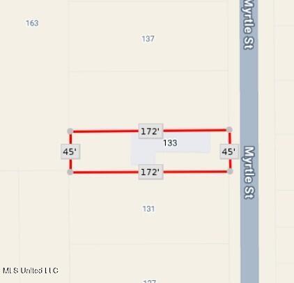 133 Myrtle Street Property Photo 53