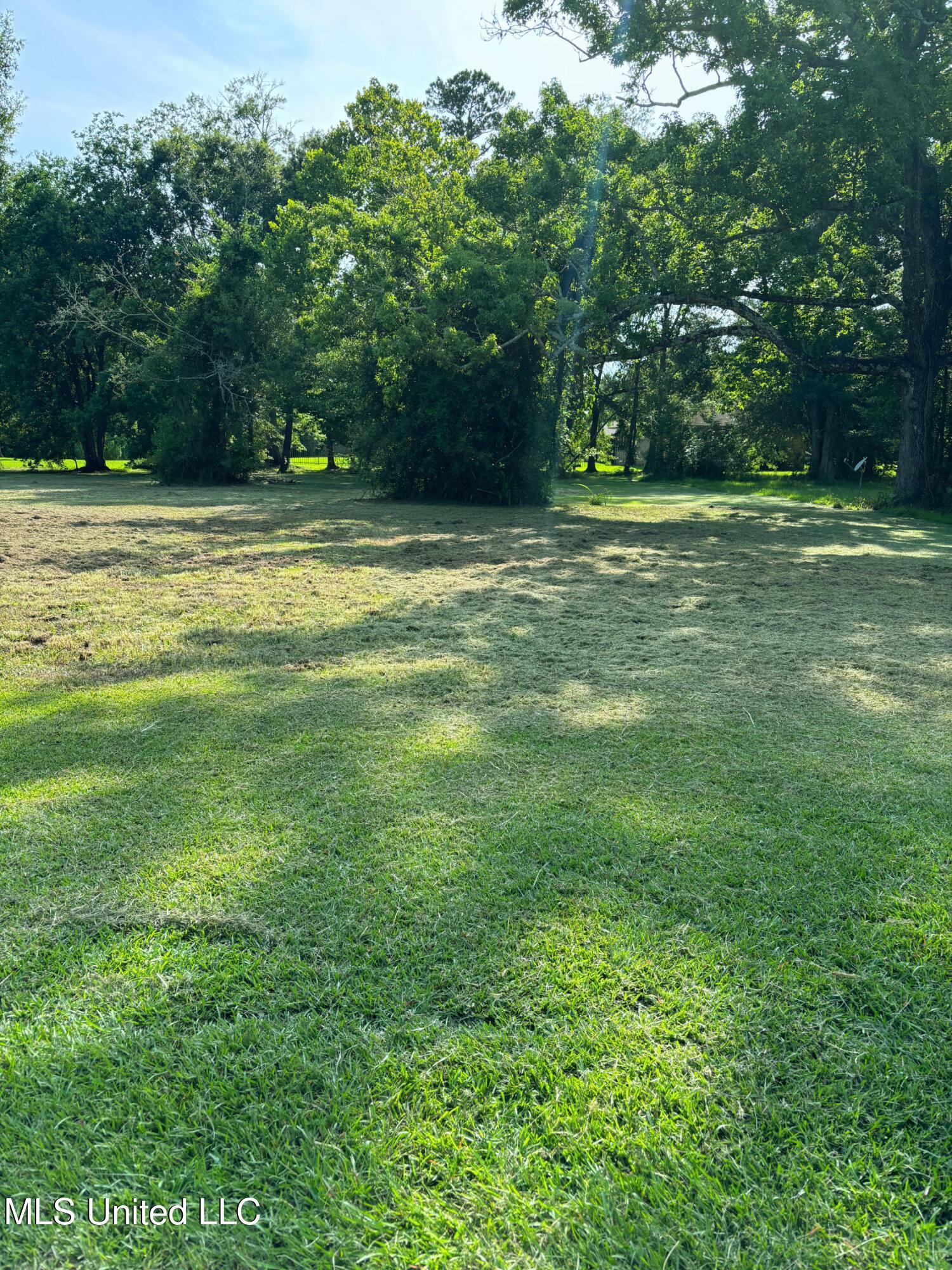Scott Street Property Photo 1