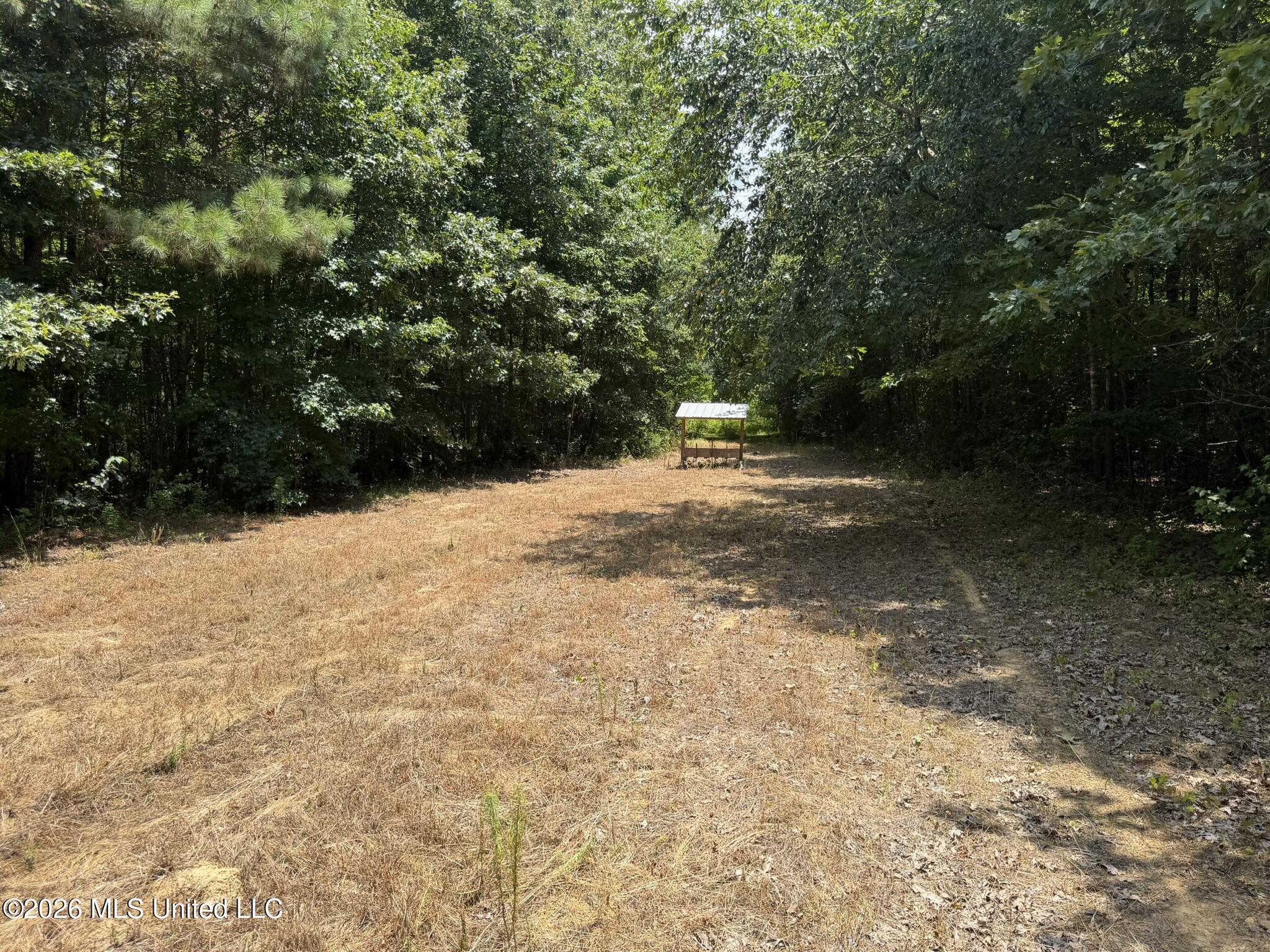 4267 Race Track Road Property Photo 1