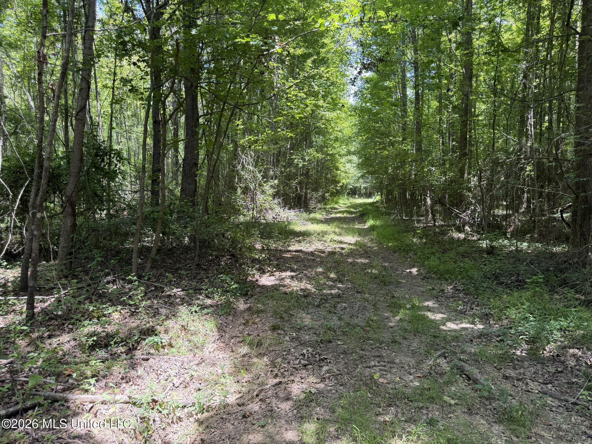 4267 Race Track Road Property Photo 2