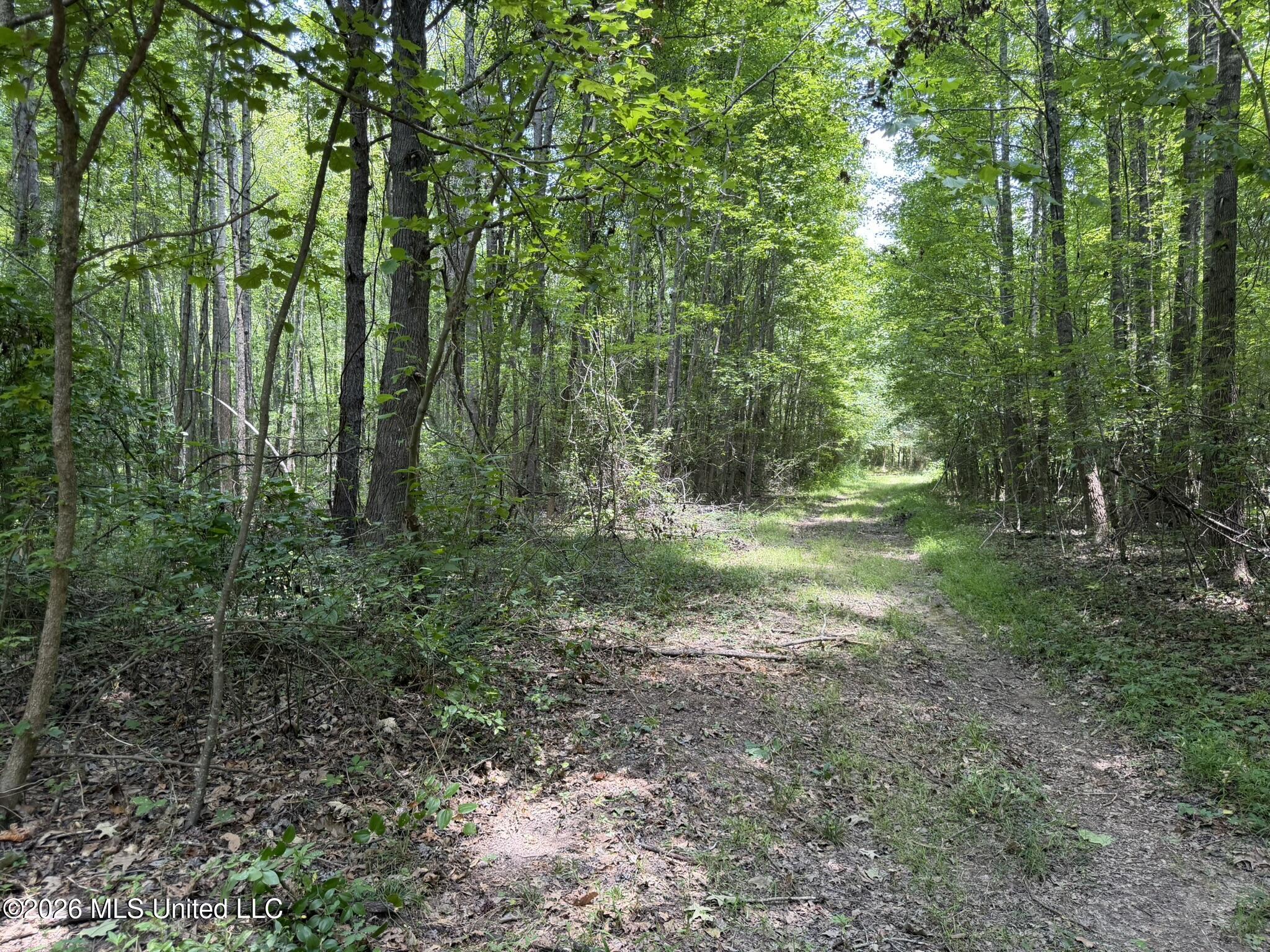 4267 Race Track Road Property Photo 4