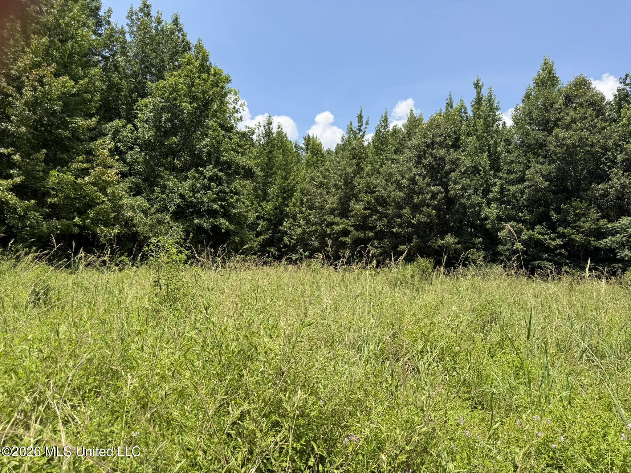 4267 Race Track Road Property Photo 5