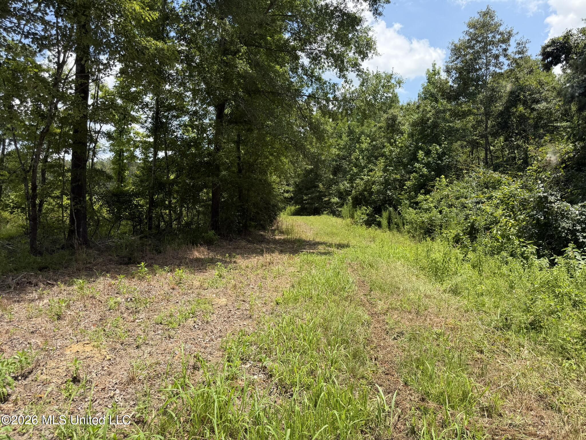 4267 Race Track Road Property Photo 6