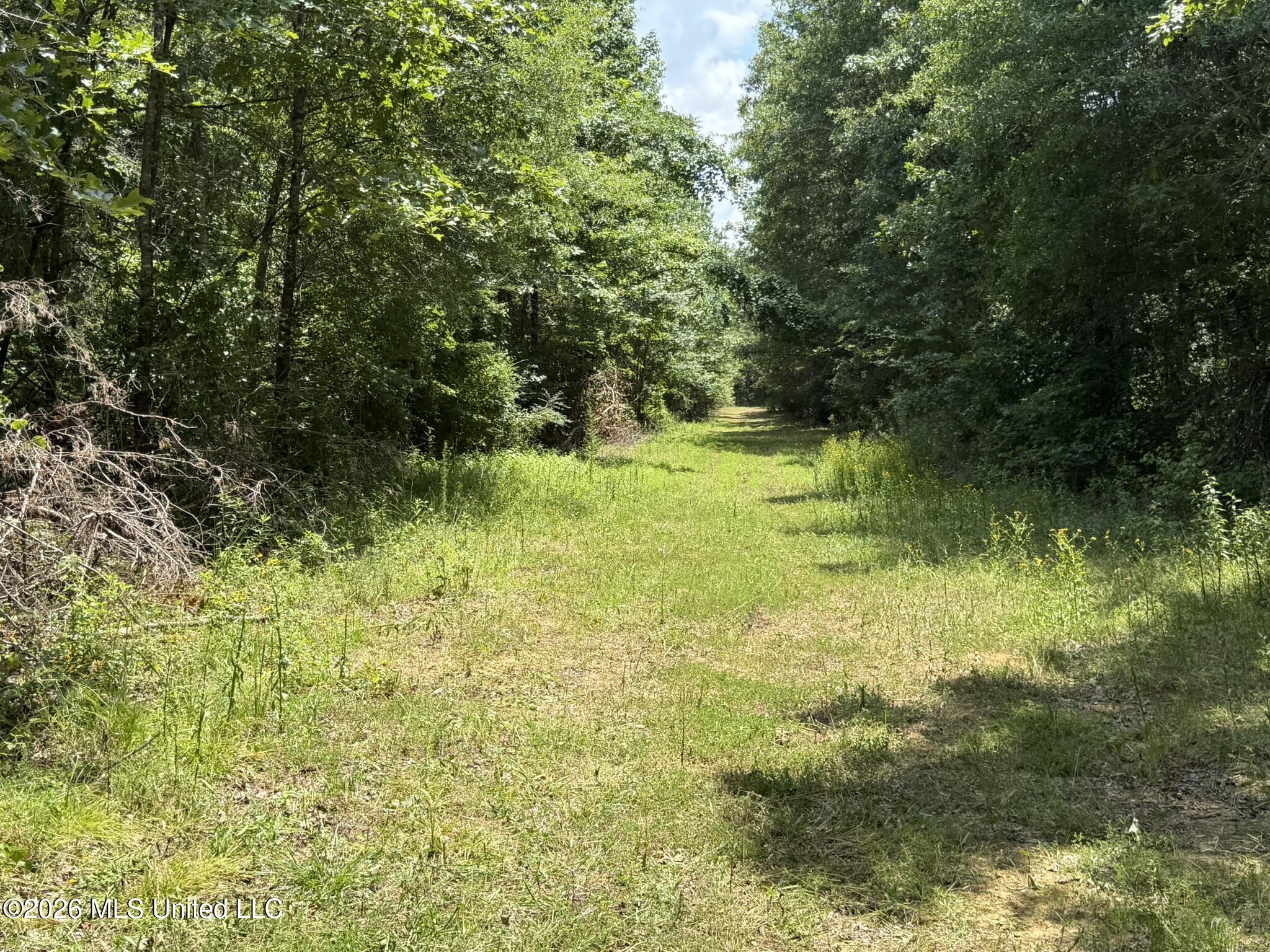 4267 Race Track Road Property Photo 7