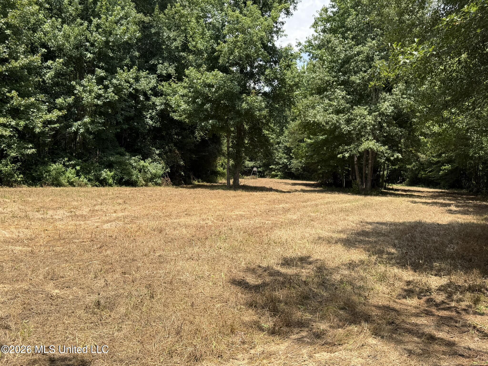 4267 Race Track Road Property Photo 8