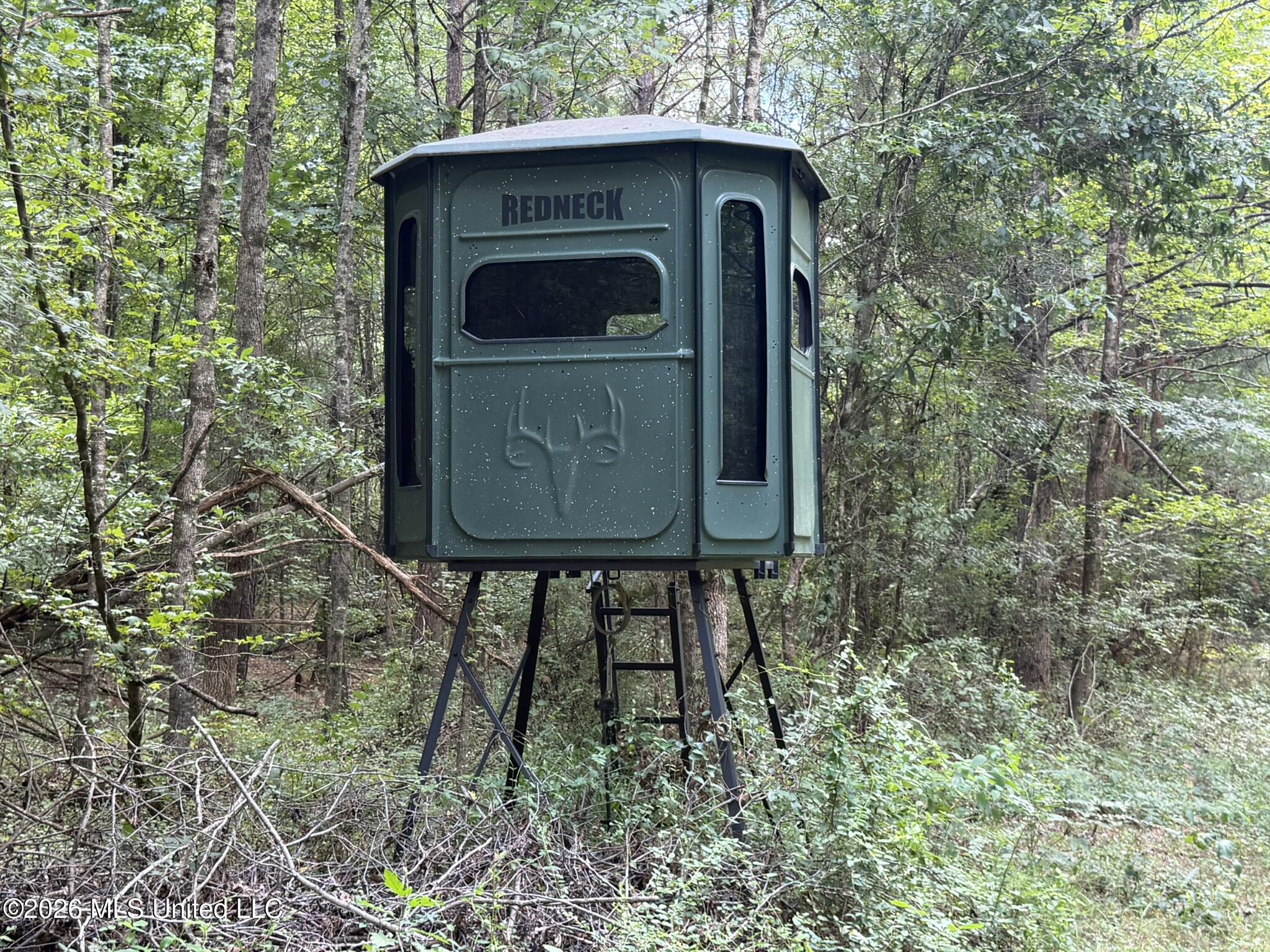 4267 Race Track Road Property Photo 9