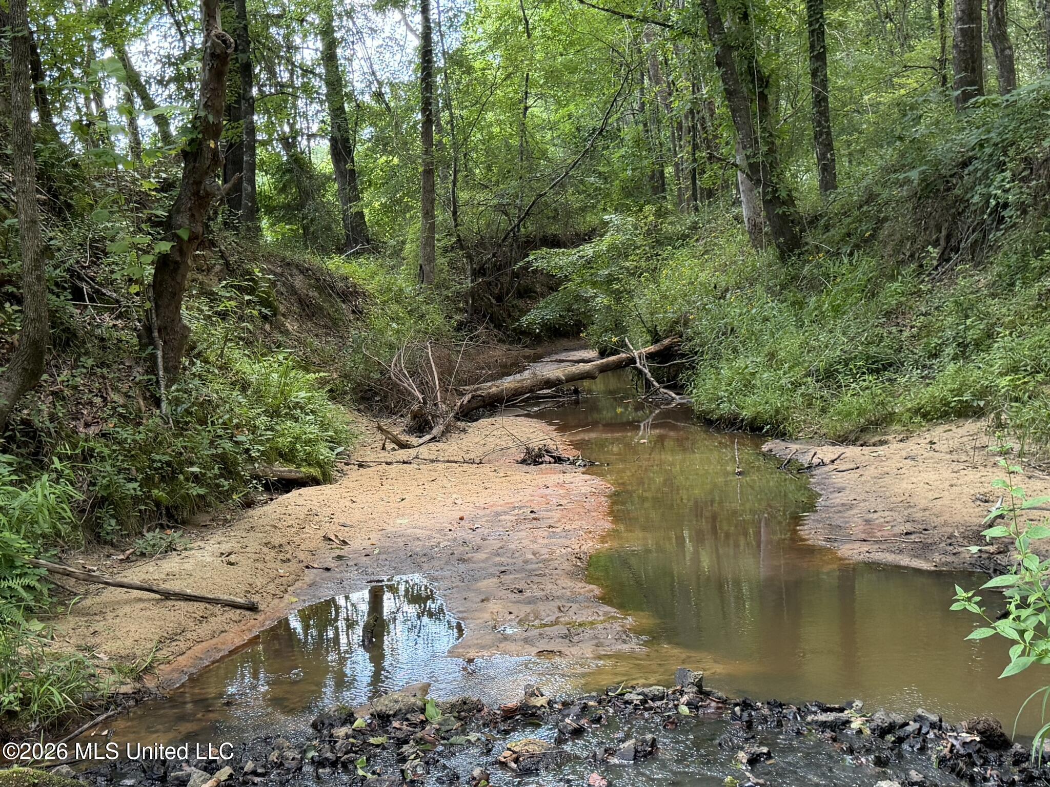 4267 Race Track Road Property Photo 10