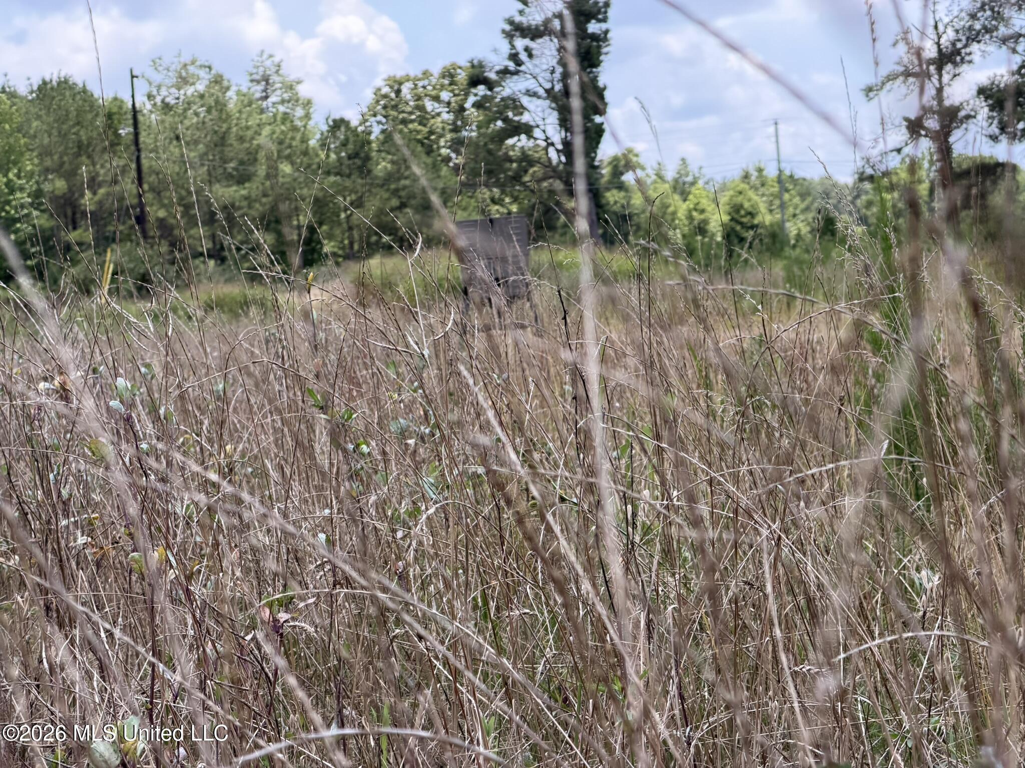 4267 Race Track Road Property Photo 14