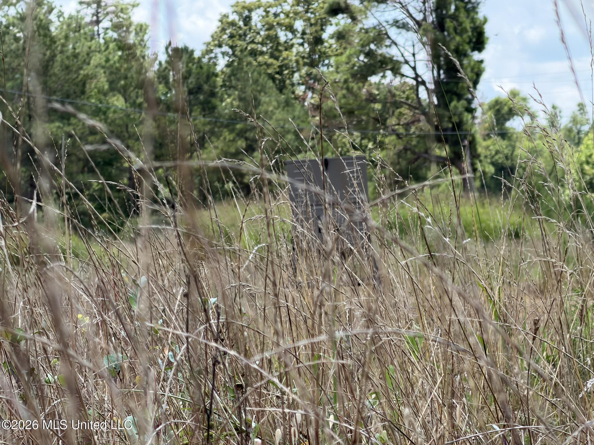 4267 Race Track Road Property Photo 15