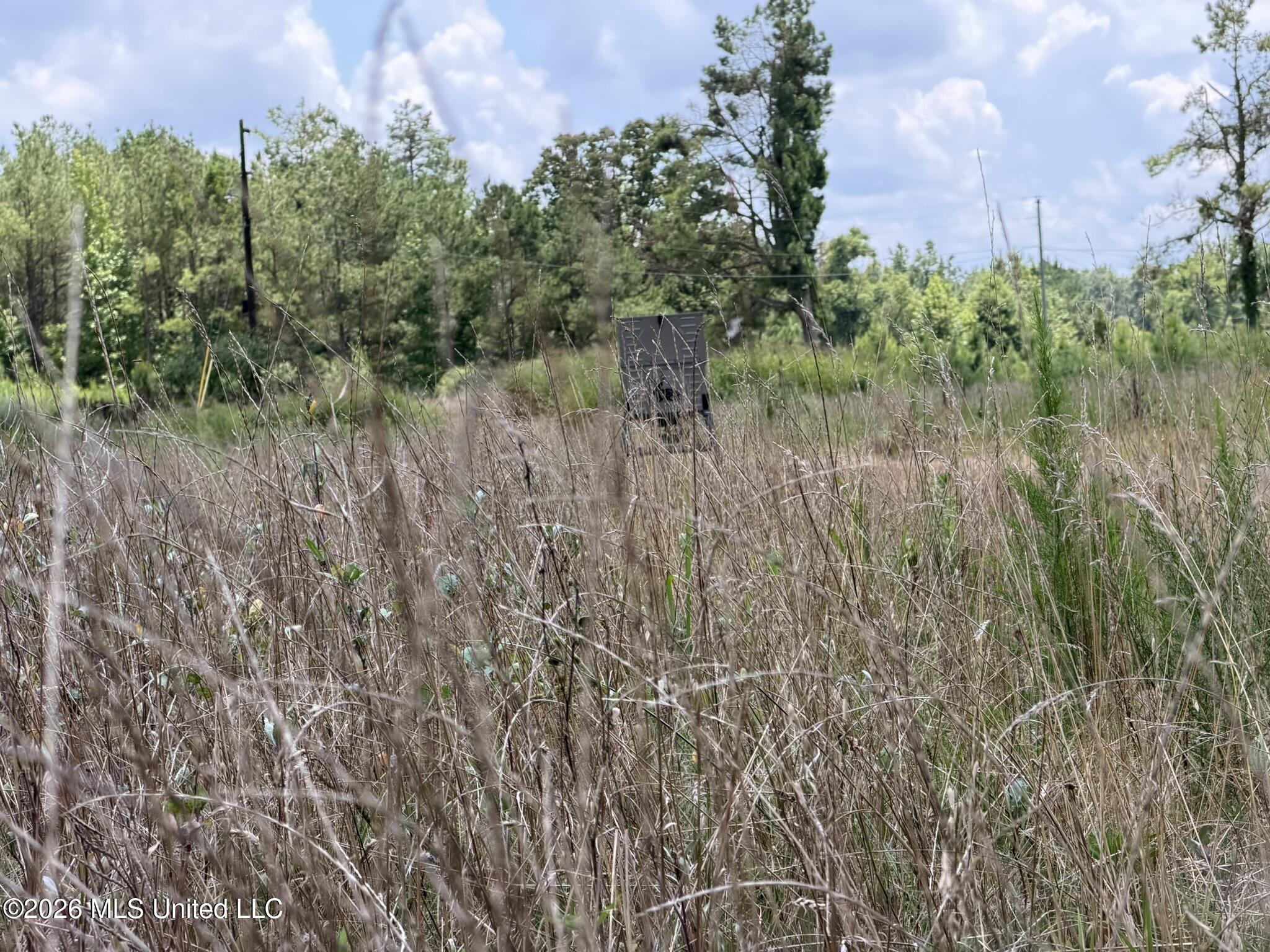 4267 Race Track Road Property Photo 17