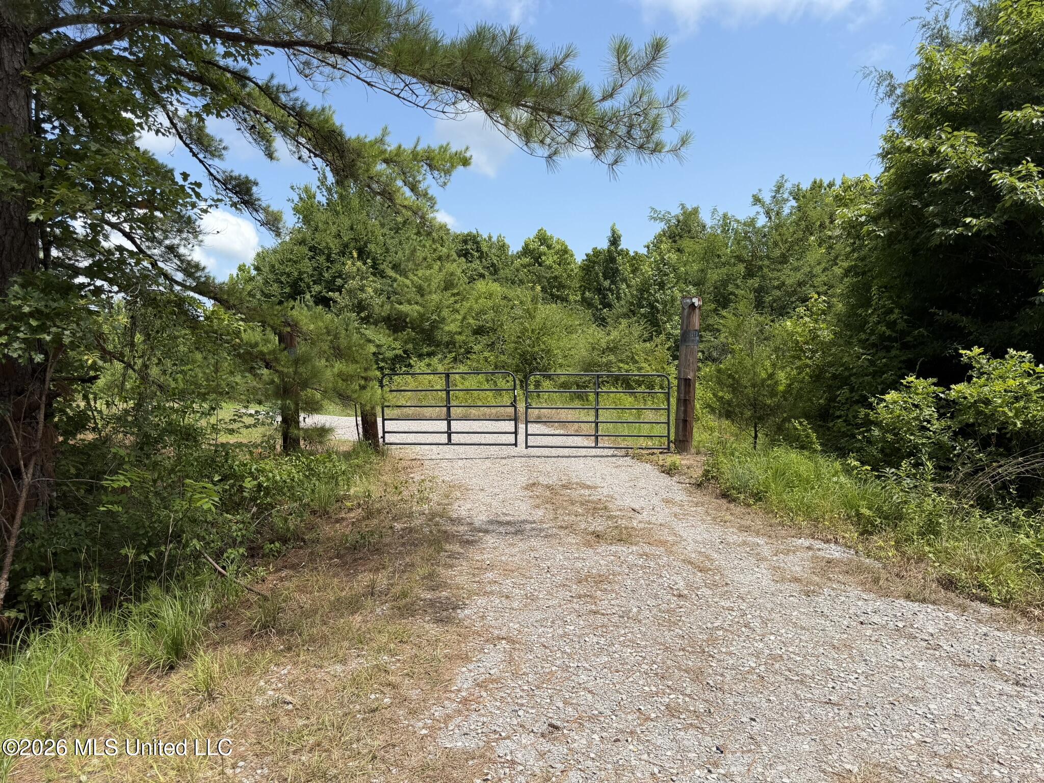 4267 Race Track Road Property Photo 18