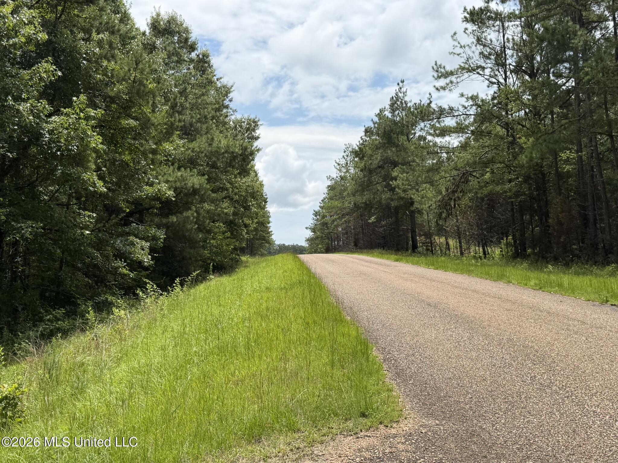 4267 Race Track Road Property Photo 19