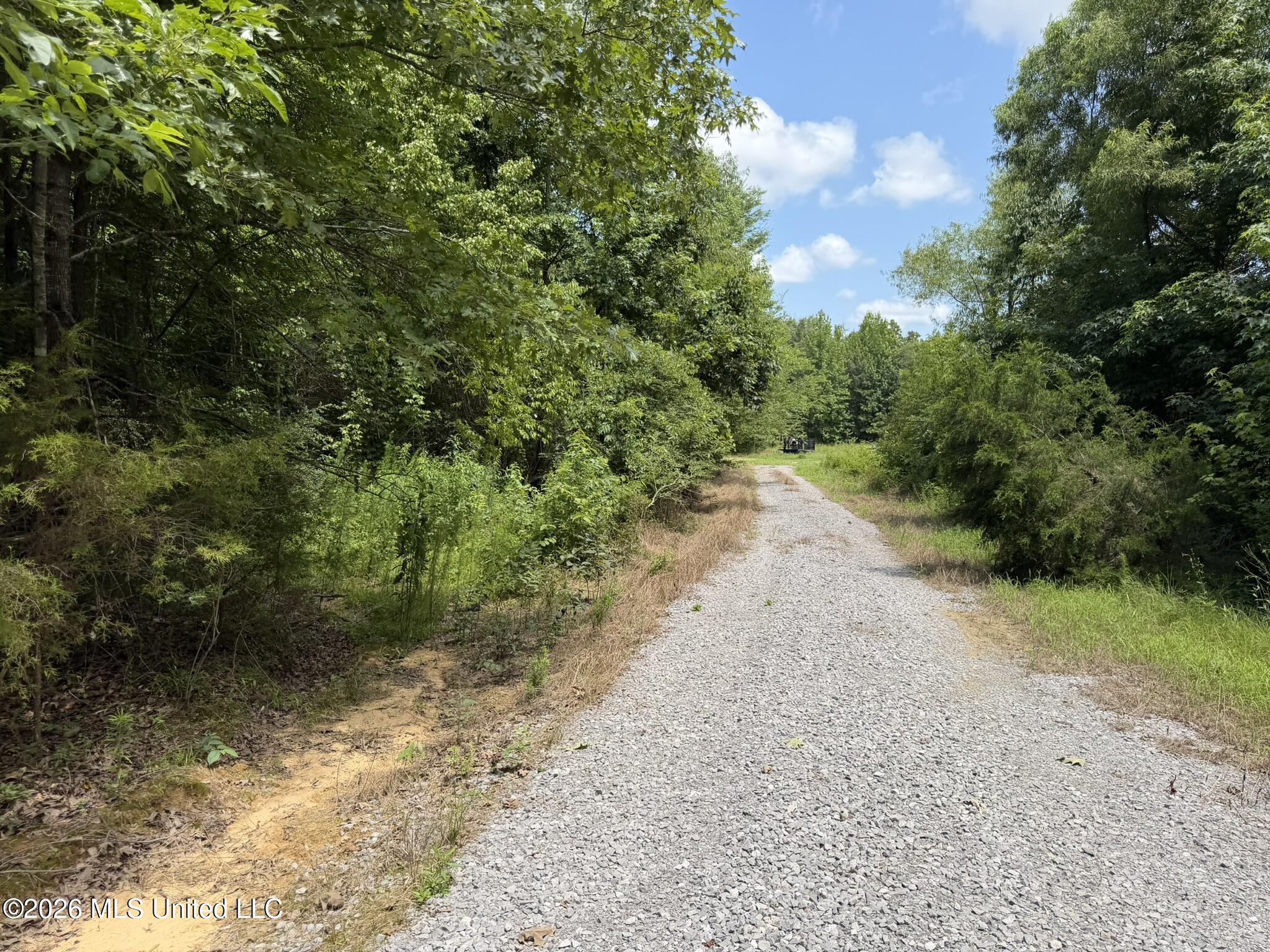 4267 Race Track Road Property Photo 20