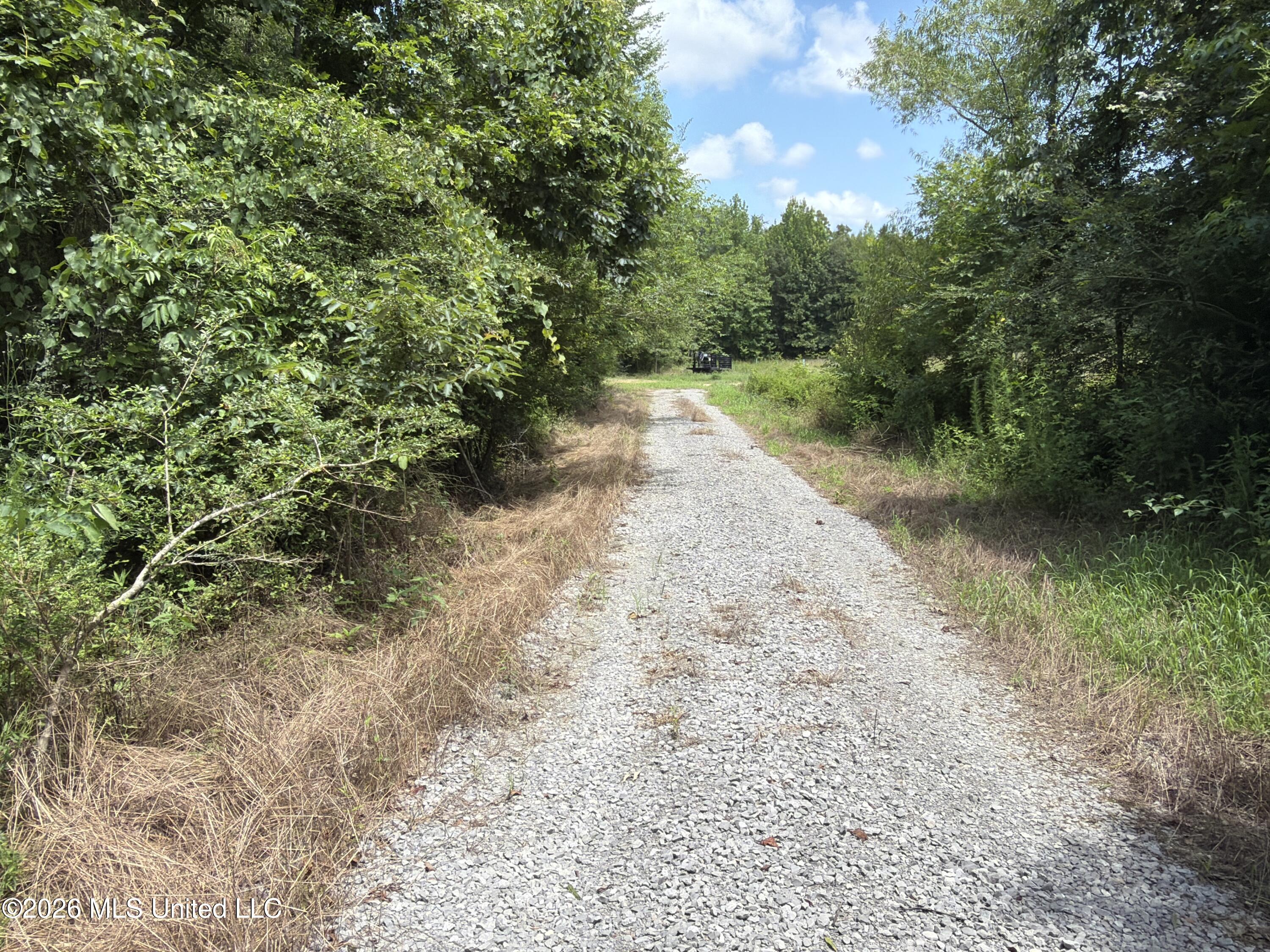 4267 Race Track Road Property Photo 21