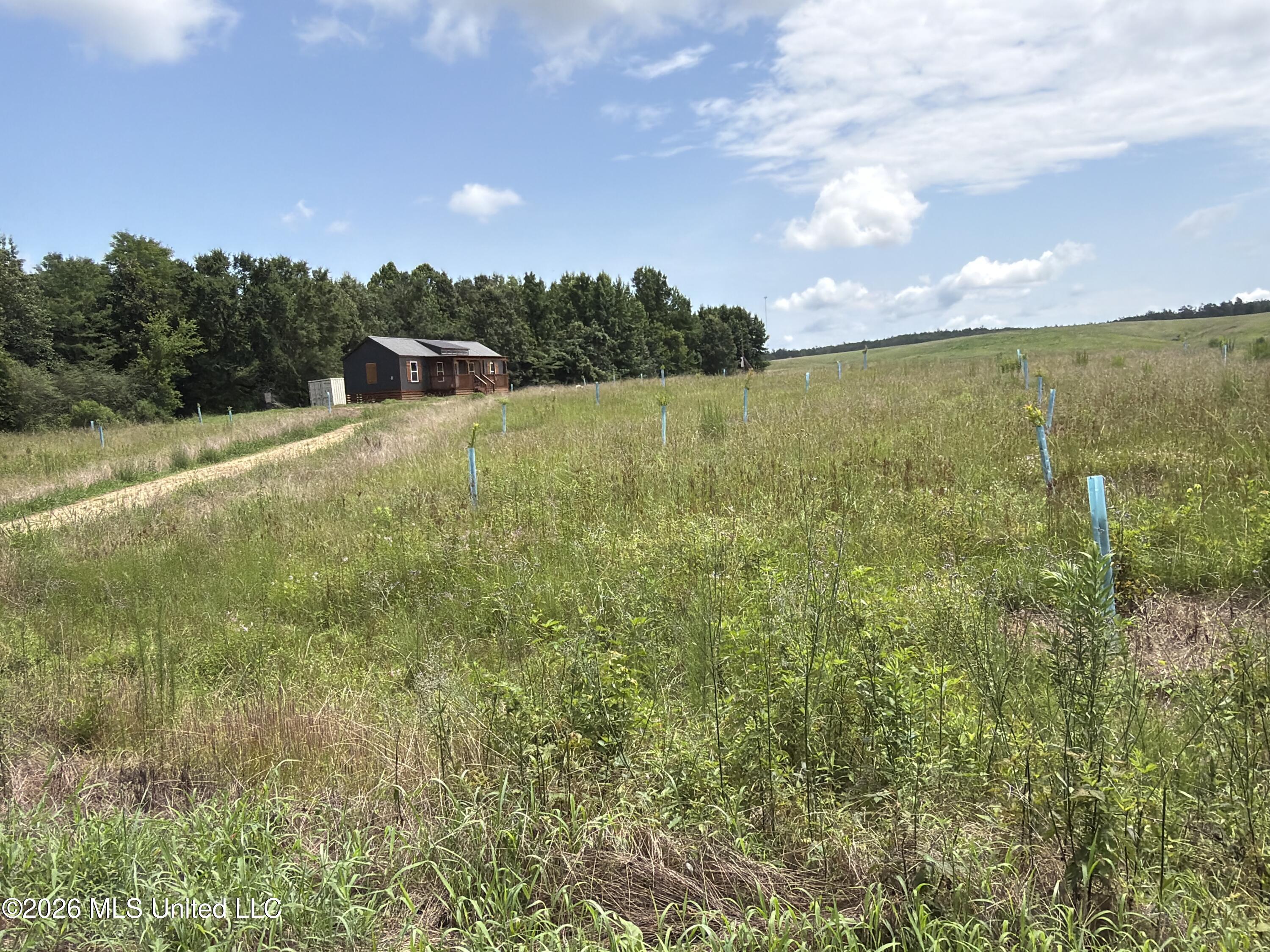 4267 Race Track Road Property Photo 22