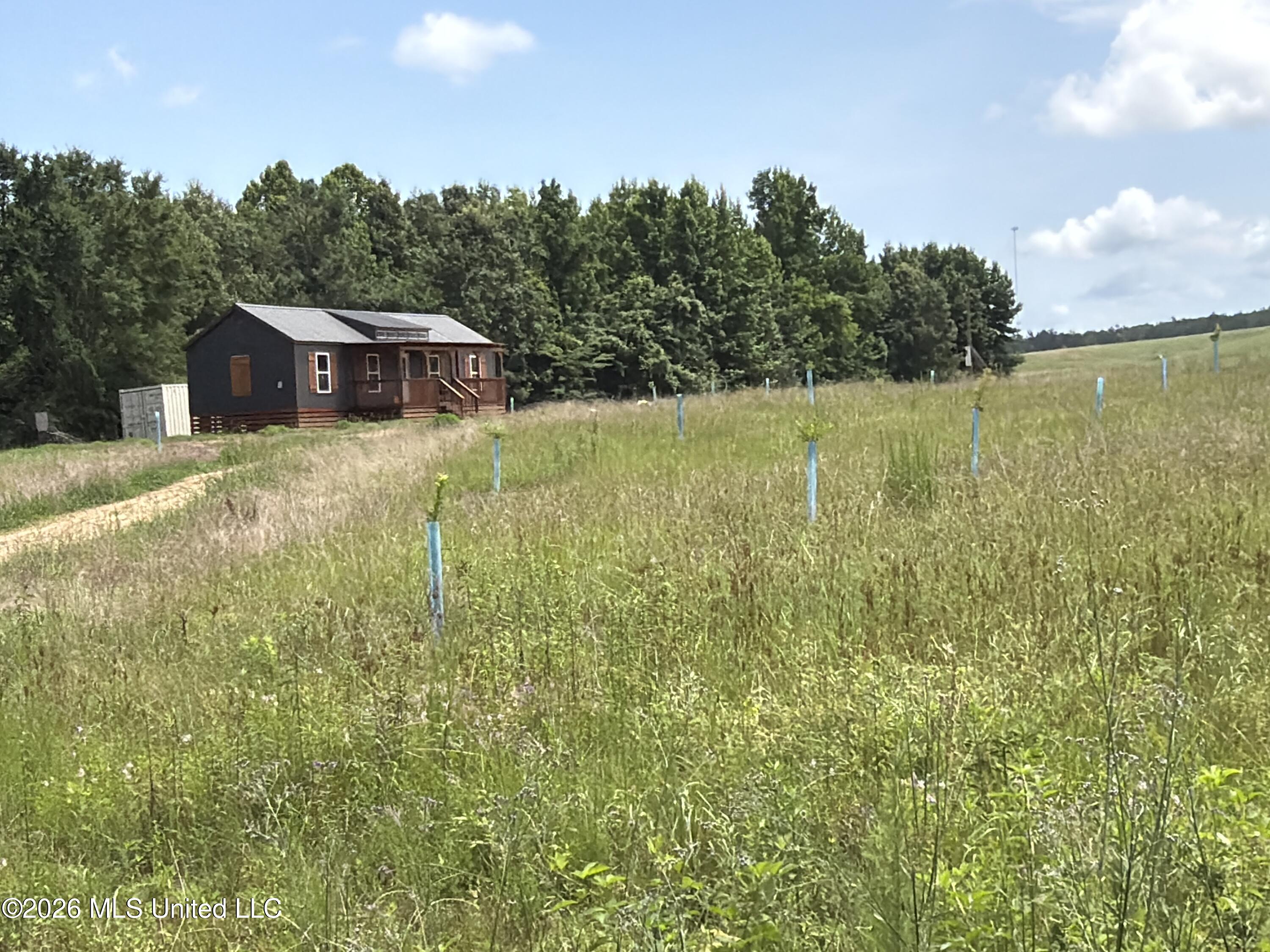 4267 Race Track Road Property Photo 23