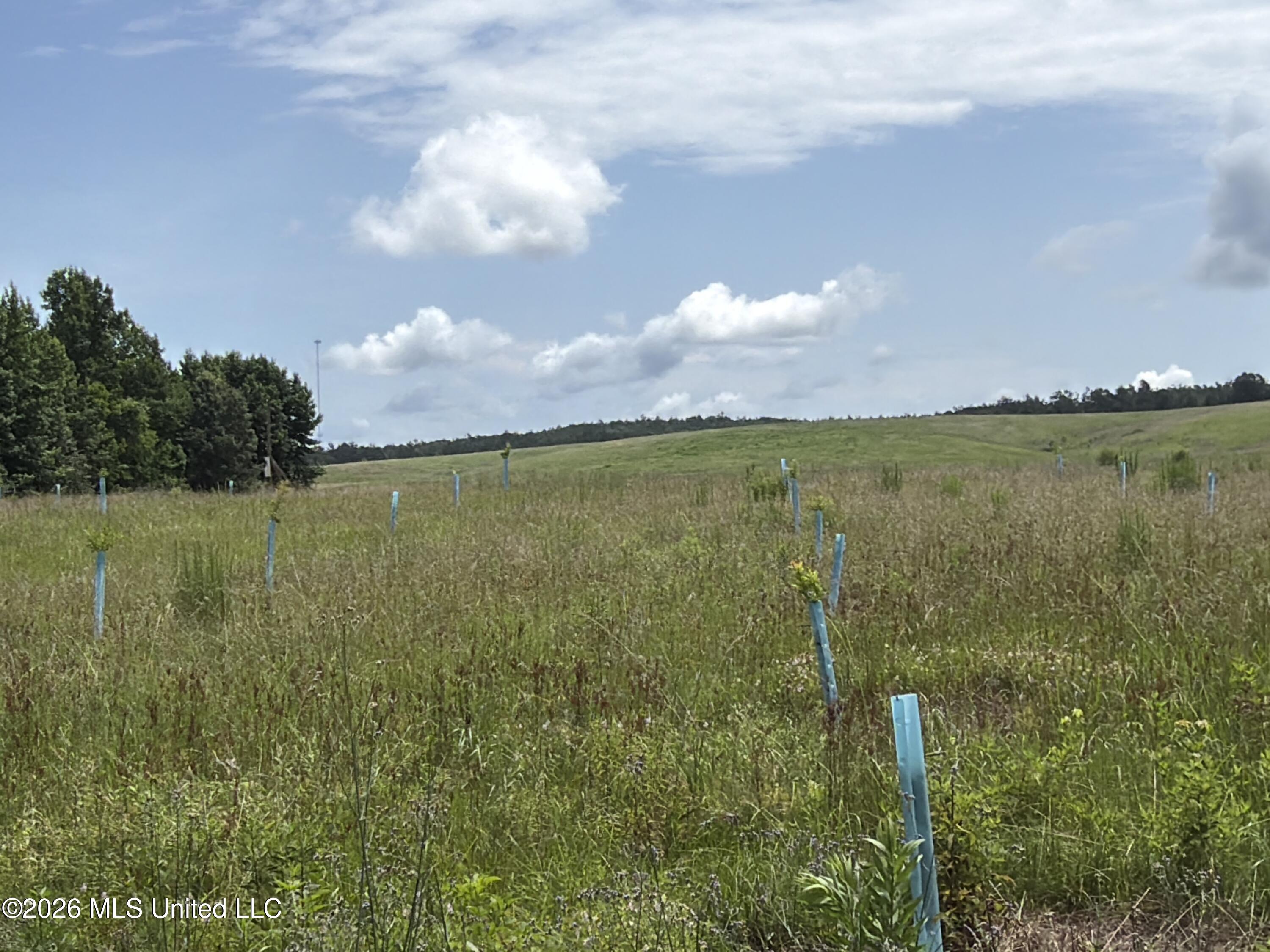 4267 Race Track Road Property Photo 24
