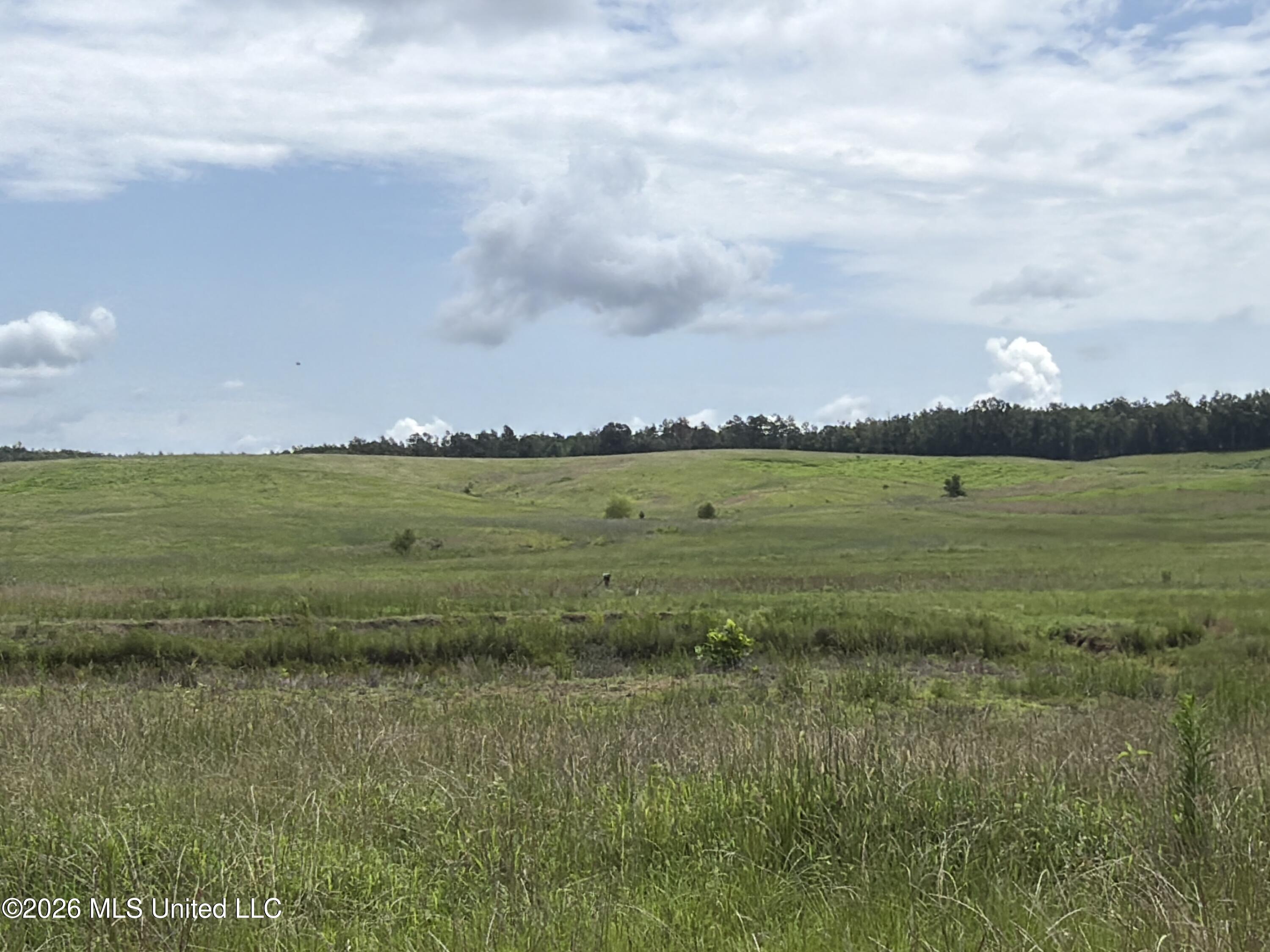4267 Race Track Road Property Photo 26