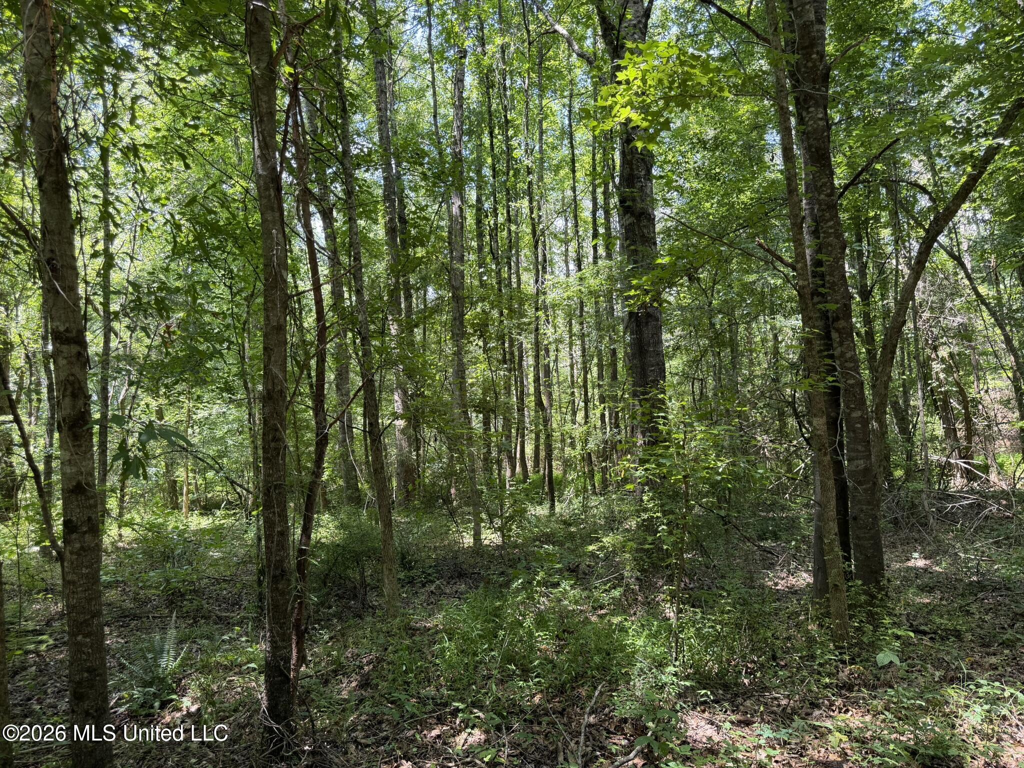 4267 Race Track Road Property Photo 41