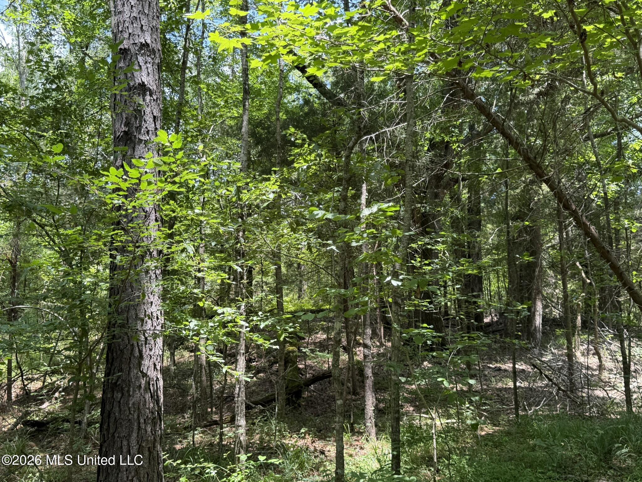 4267 Race Track Road Property Photo 42