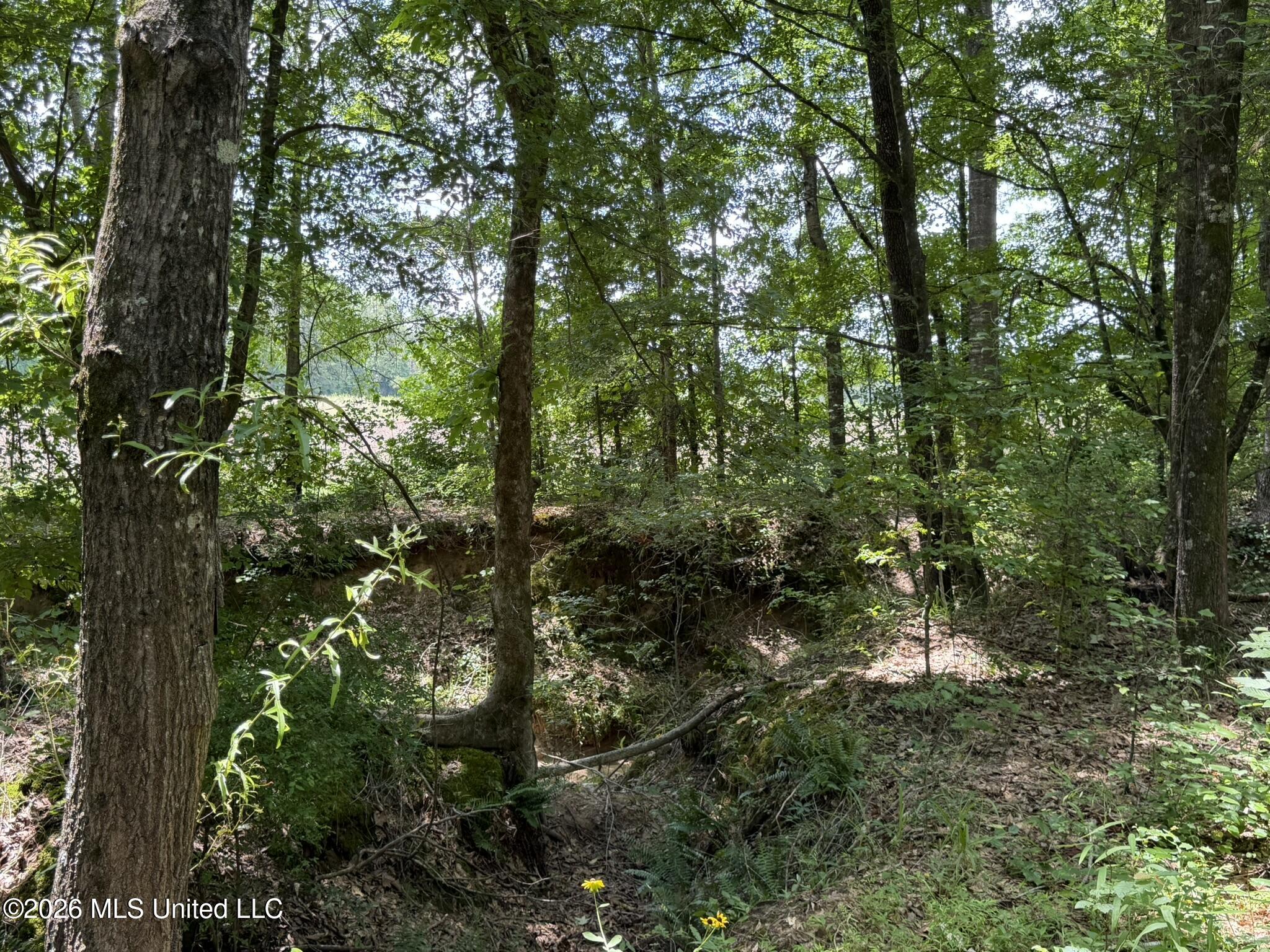 4267 Race Track Road Property Photo 43