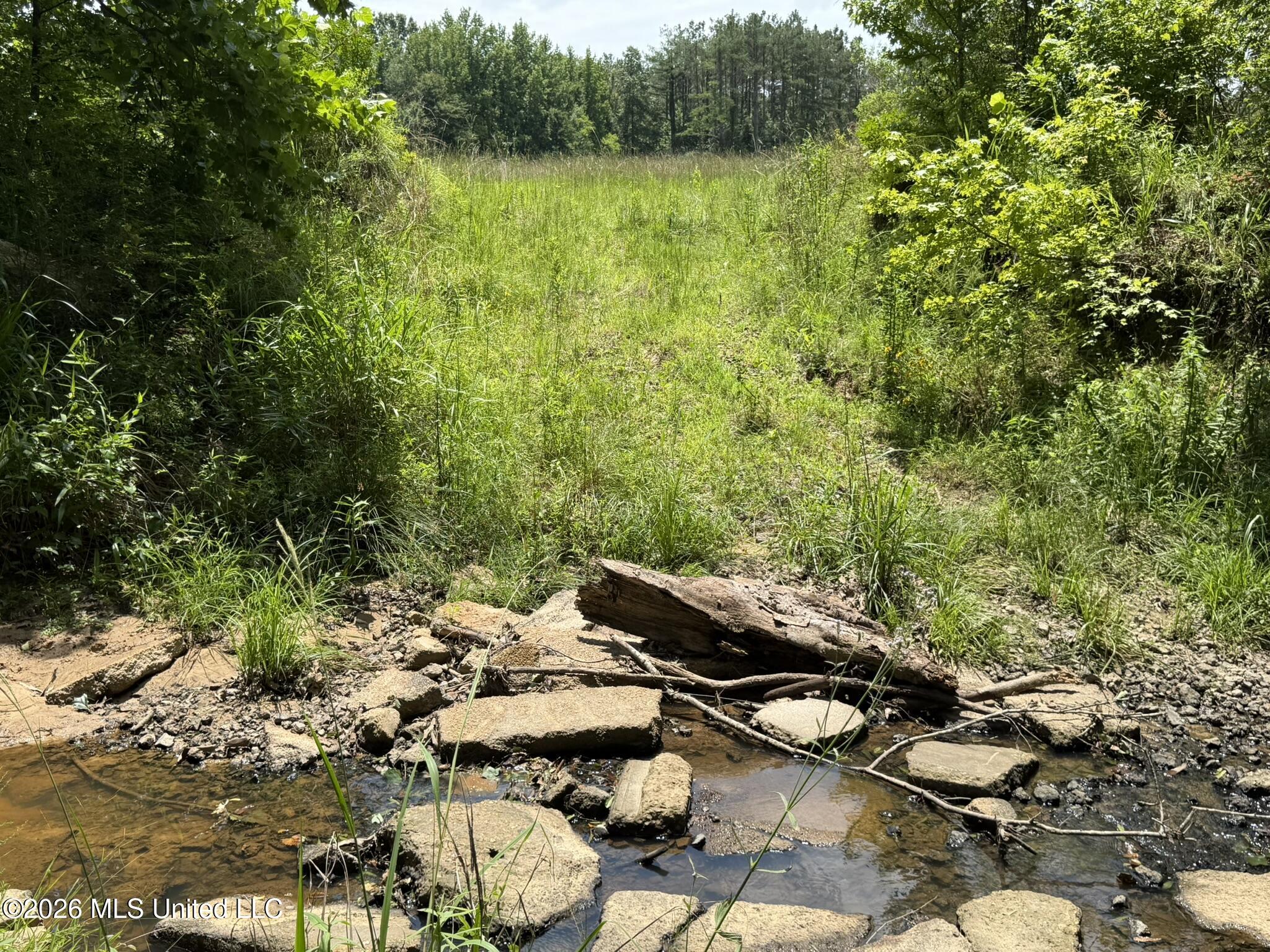 4267 Race Track Road Property Photo 44