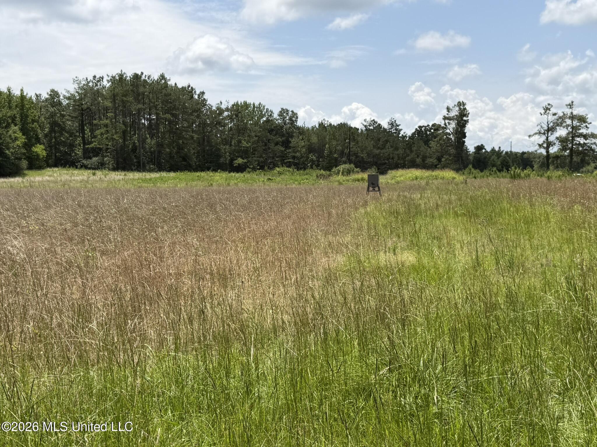 4267 Race Track Road Property Photo 46