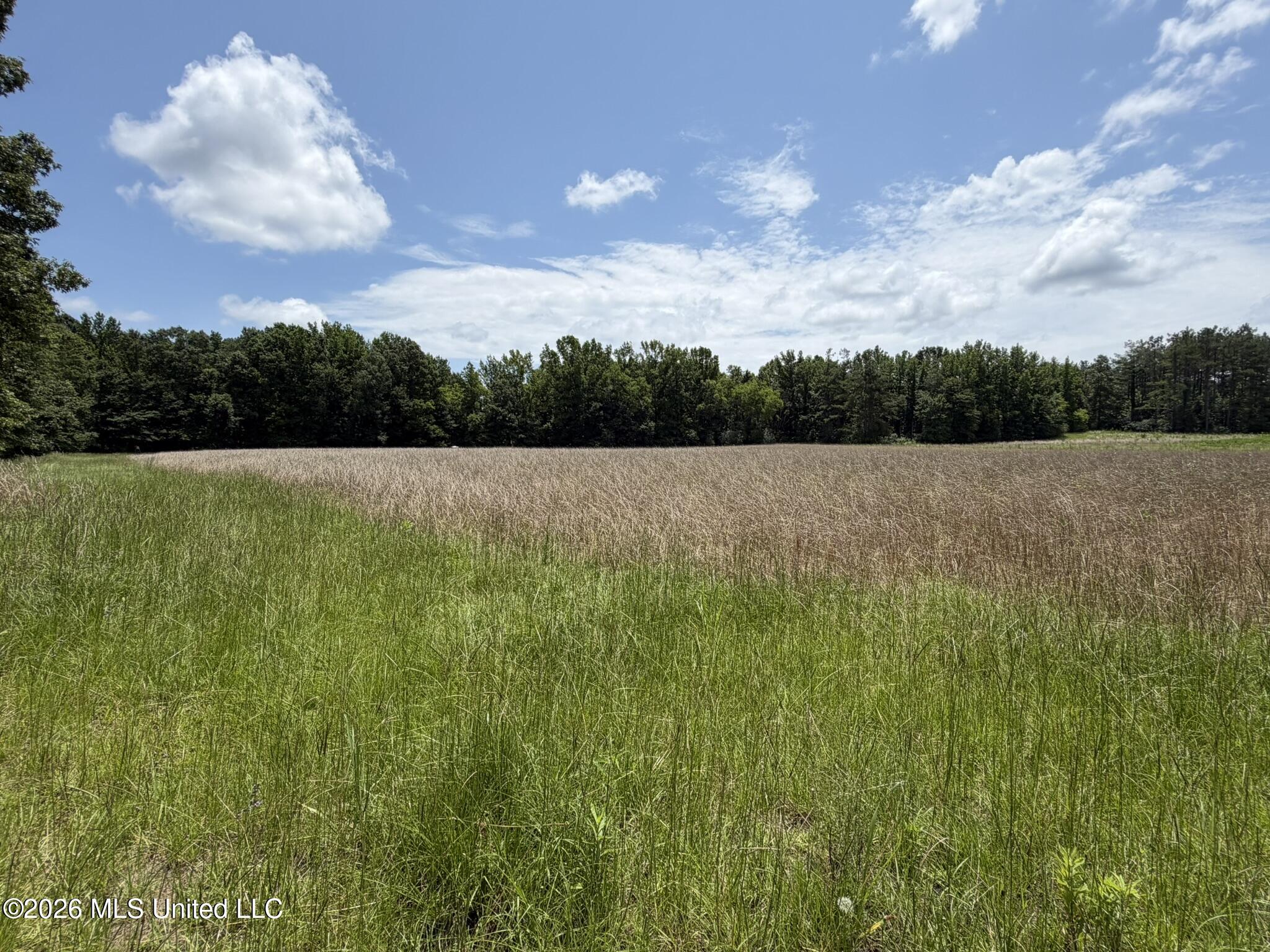 4267 Race Track Road Property Photo 47