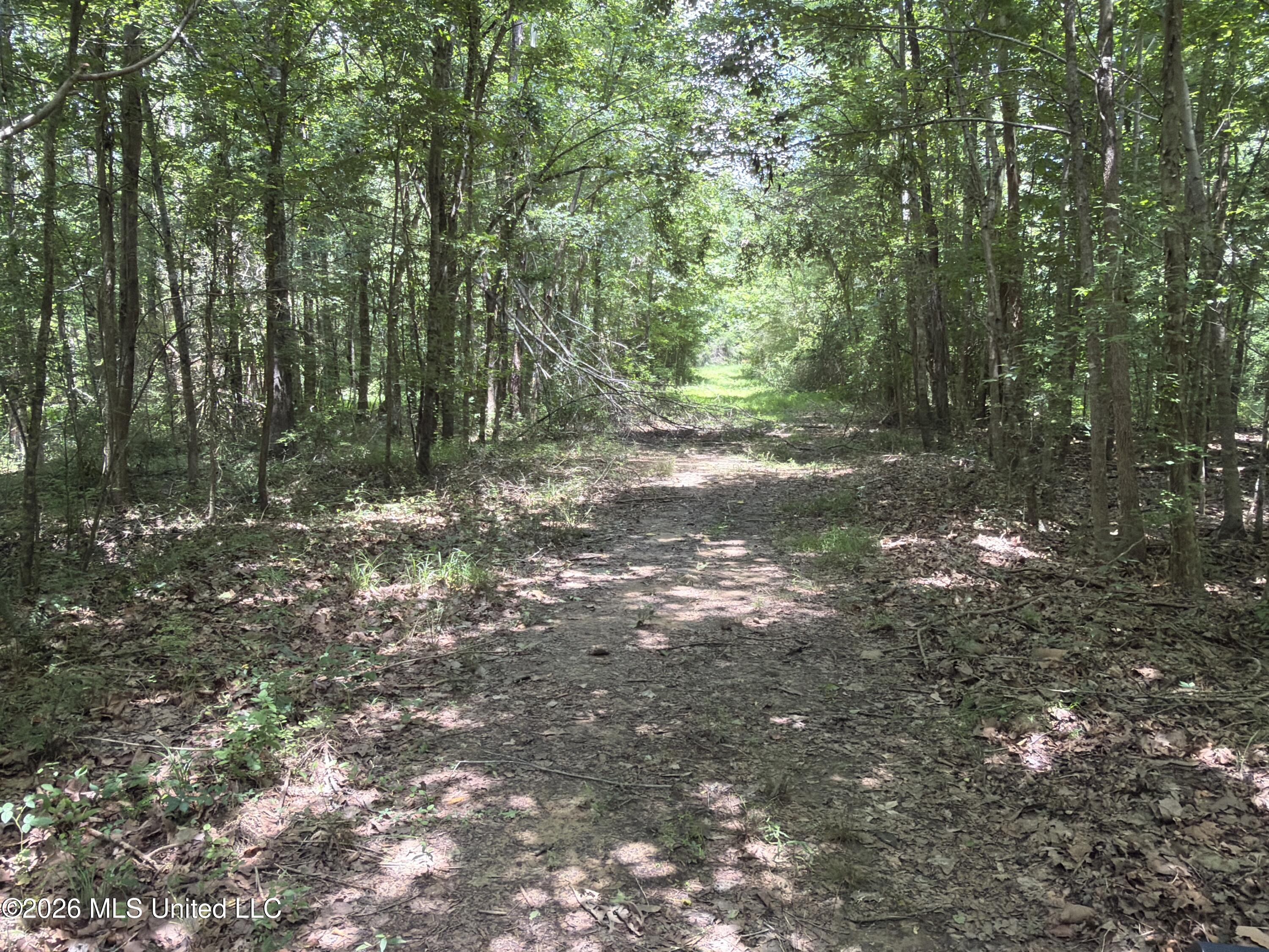 4267 Race Track Road Property Photo 48