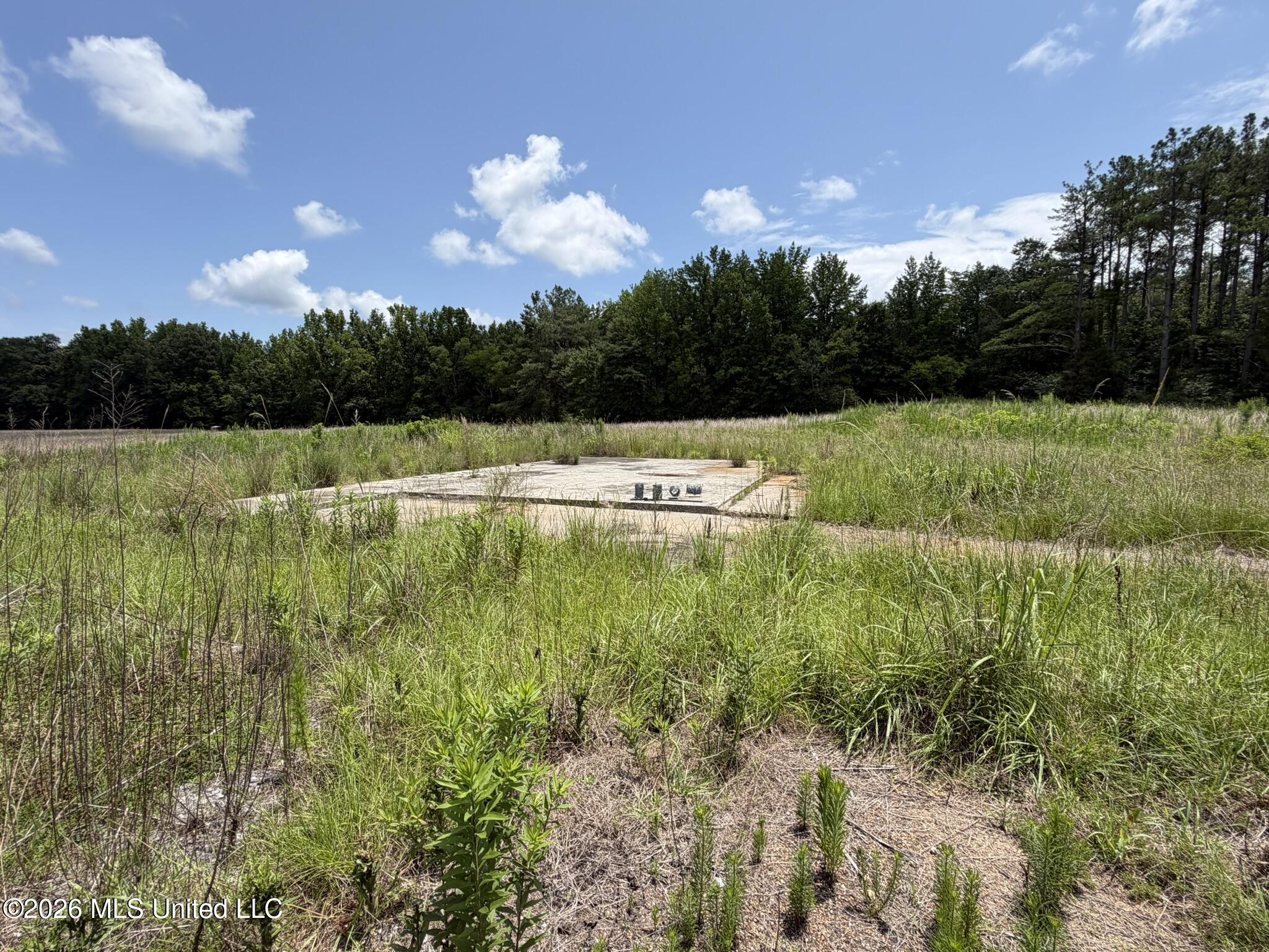 4267 Race Track Road Property Photo 50