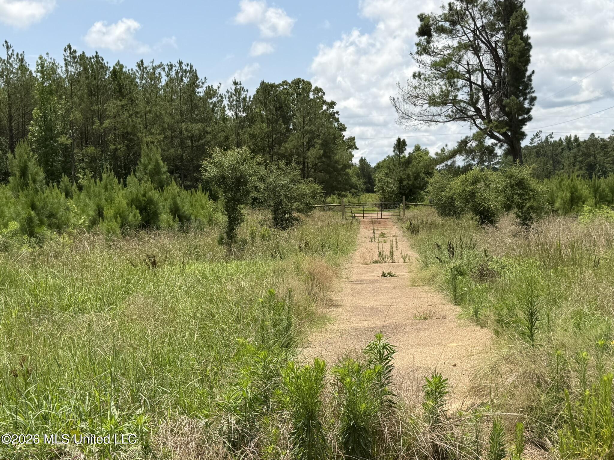 4267 Race Track Road Property Photo 51